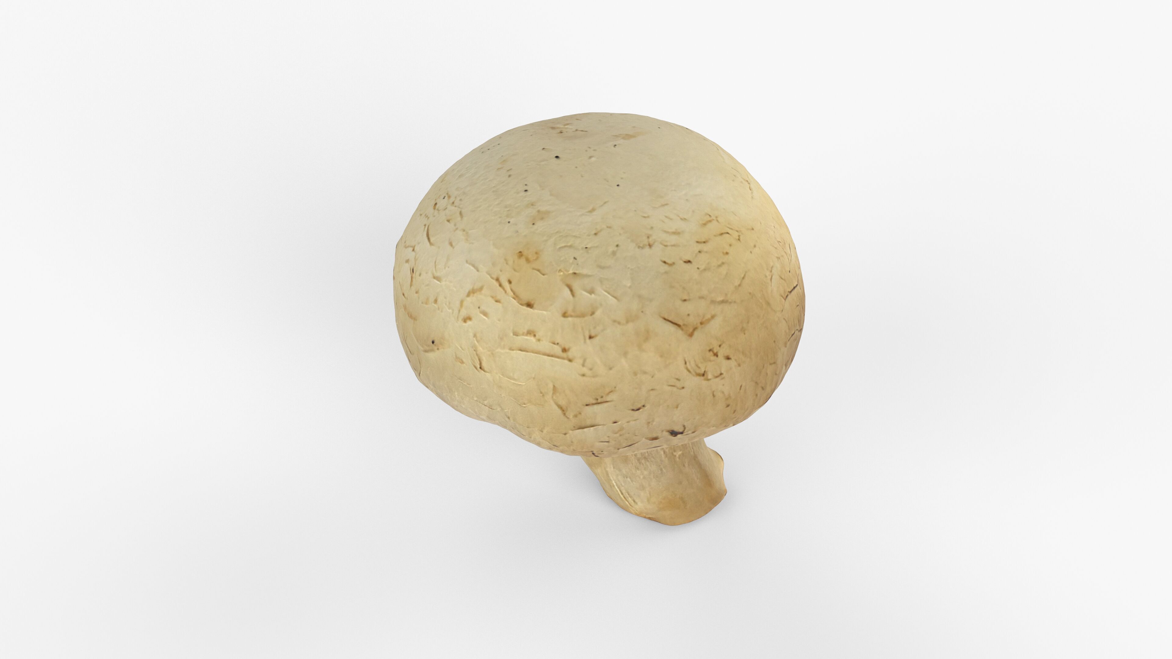 Photorealistic 3D scan of Champignon mushroom Low-poly 3D model_14