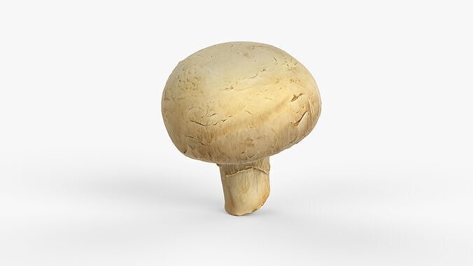 Photorealistic 3D scan of Champignon mushroom Low-poly 3D model 3