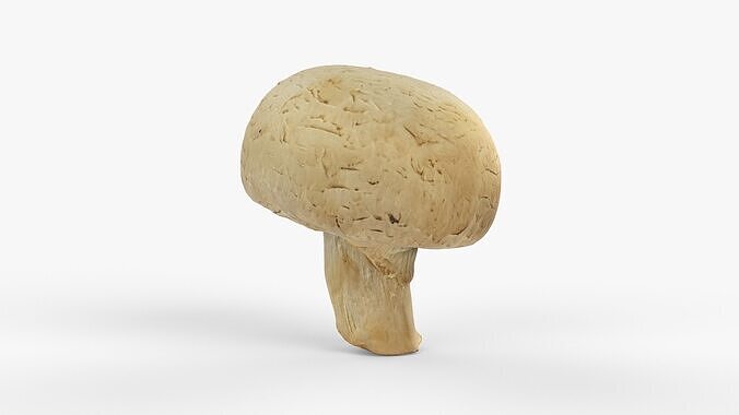 Photorealistic 3D scan of Champignon mushroom Low-poly 3D model 7