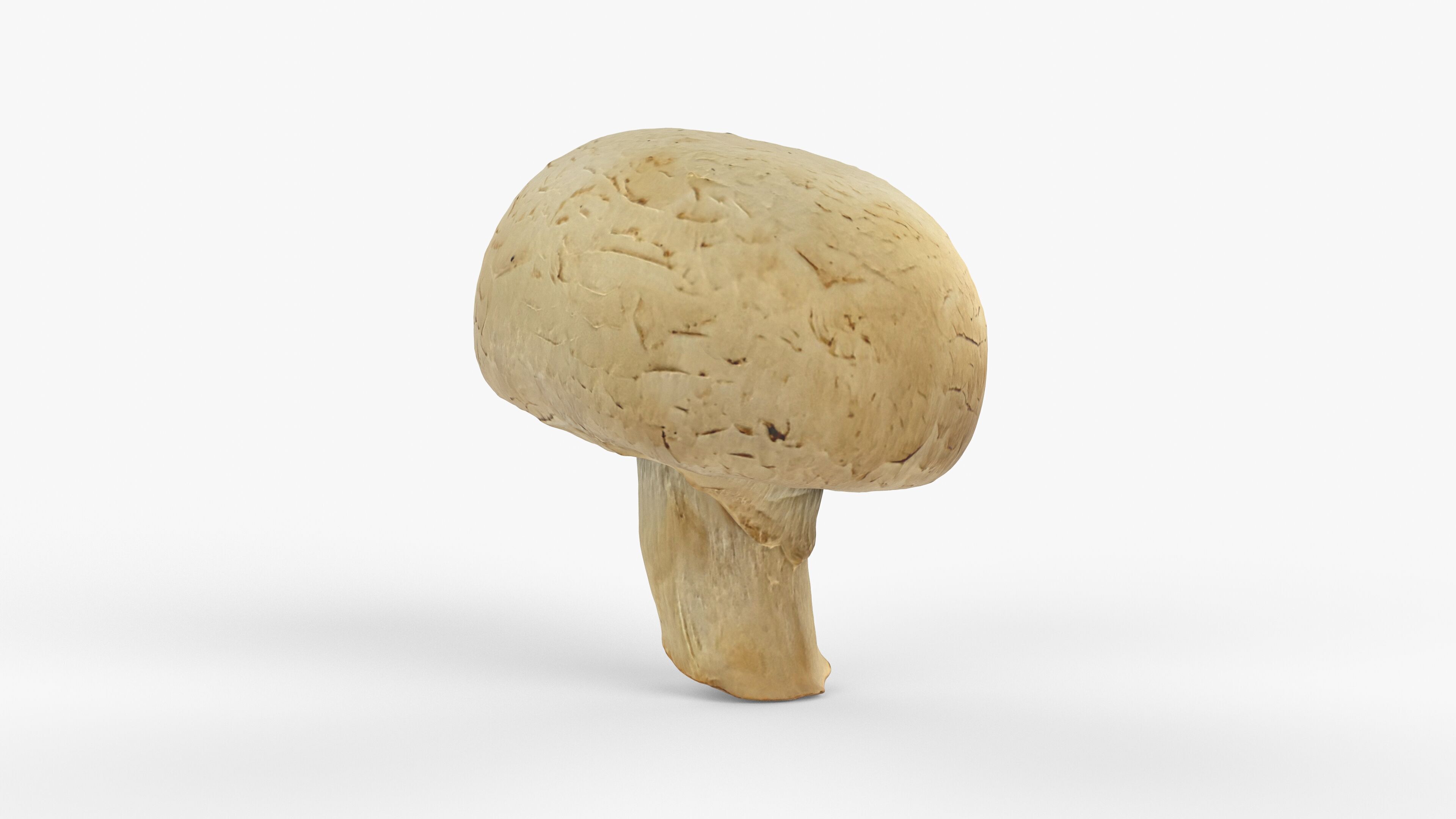 Photorealistic 3D scan of Champignon mushroom Low-poly 3D model_6