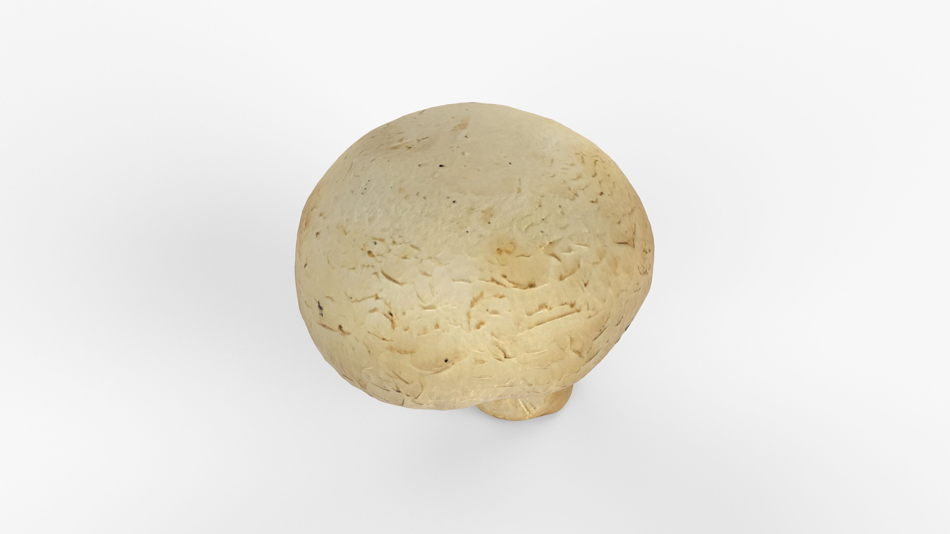 Photorealistic 3D scan of Champignon mushroom Low-poly 3D model_13