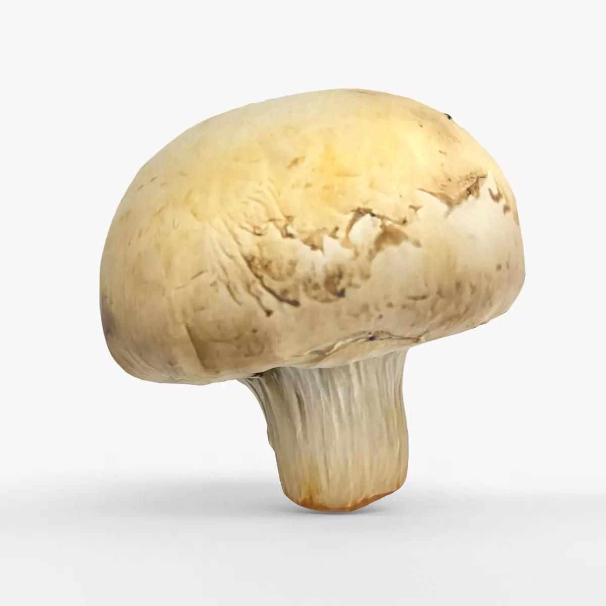 Photorealistic 3D scan of Champignon mushroom Low-poly 3D model_0