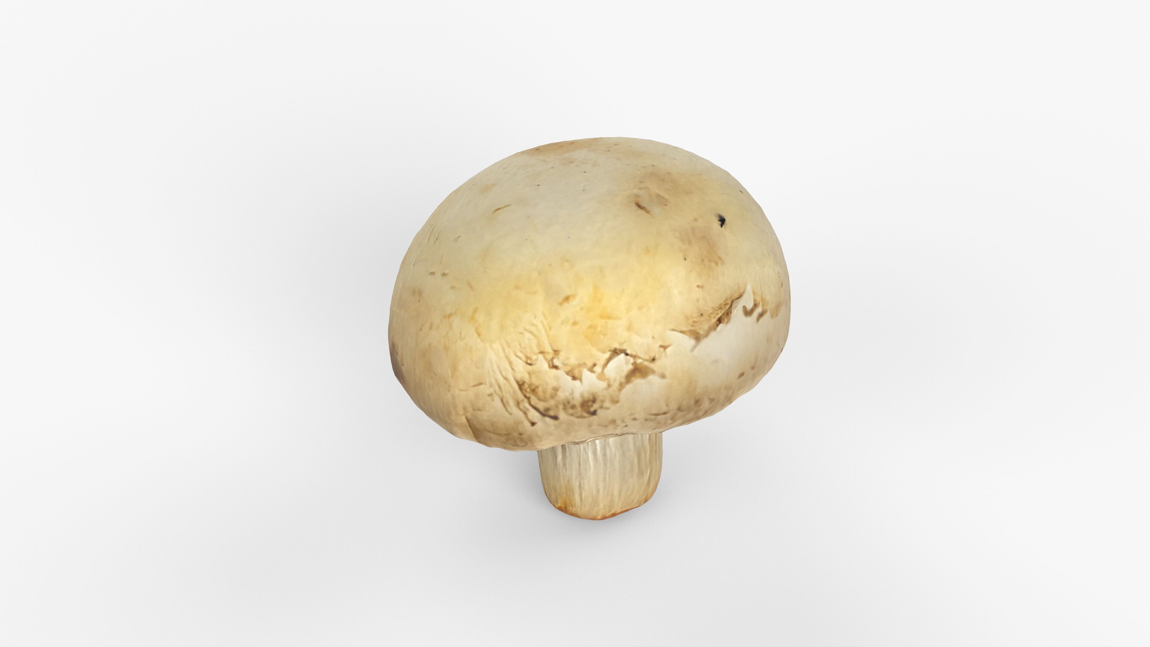 Photorealistic 3D scan of Champignon mushroom Low-poly 3D model_15
