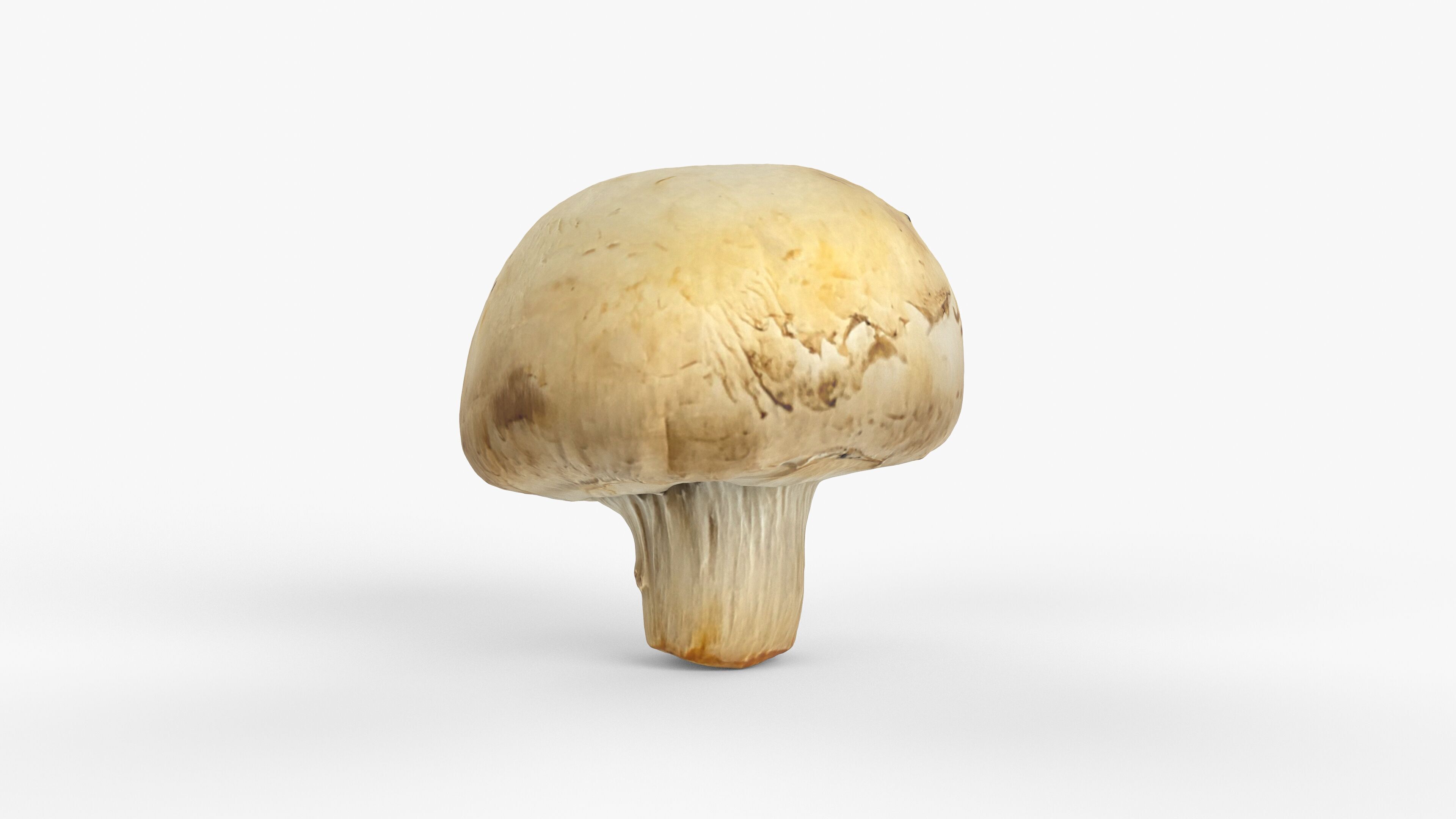 Photorealistic 3D scan of Champignon mushroom Low-poly 3D model_7