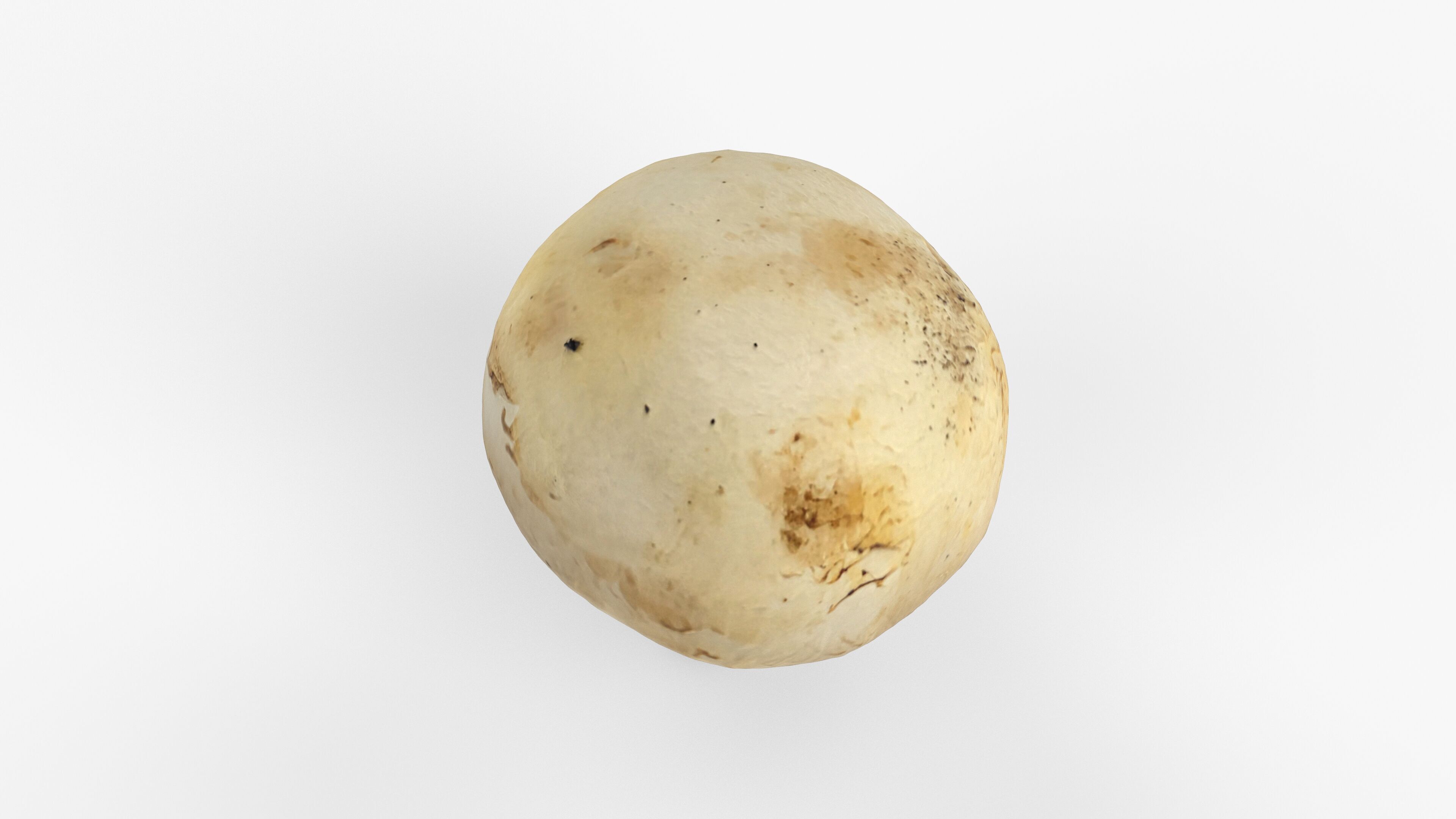 Photorealistic 3D scan of Champignon mushroom Low-poly 3D model_10