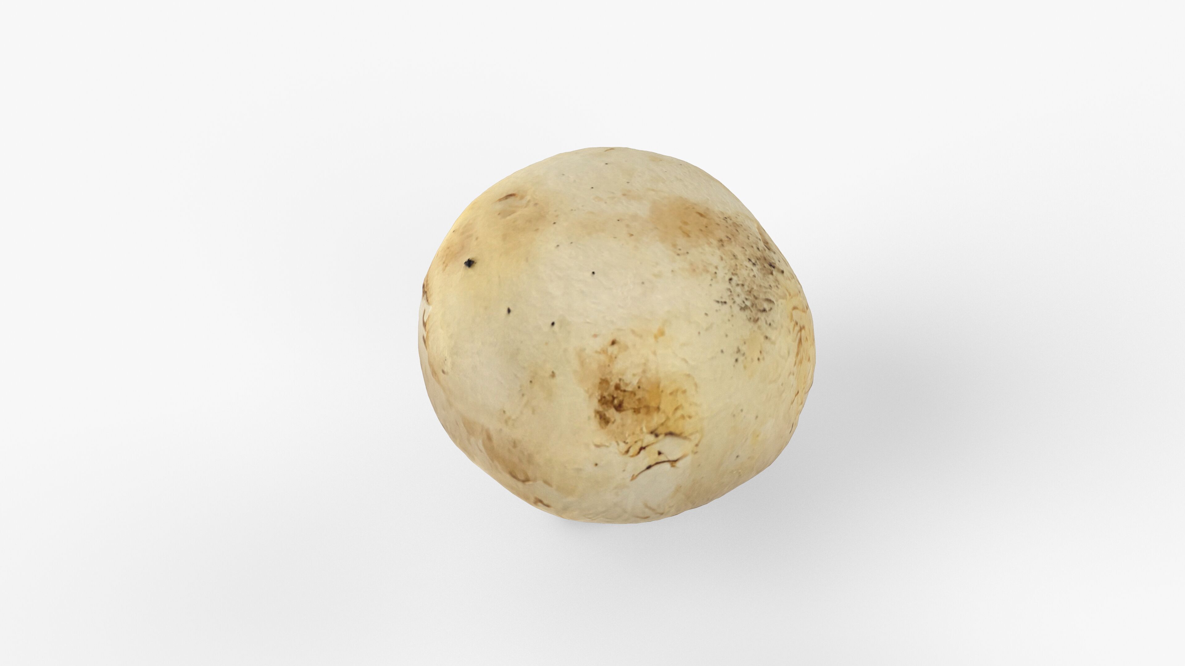 Photorealistic 3D scan of Champignon mushroom Low-poly 3D model_2