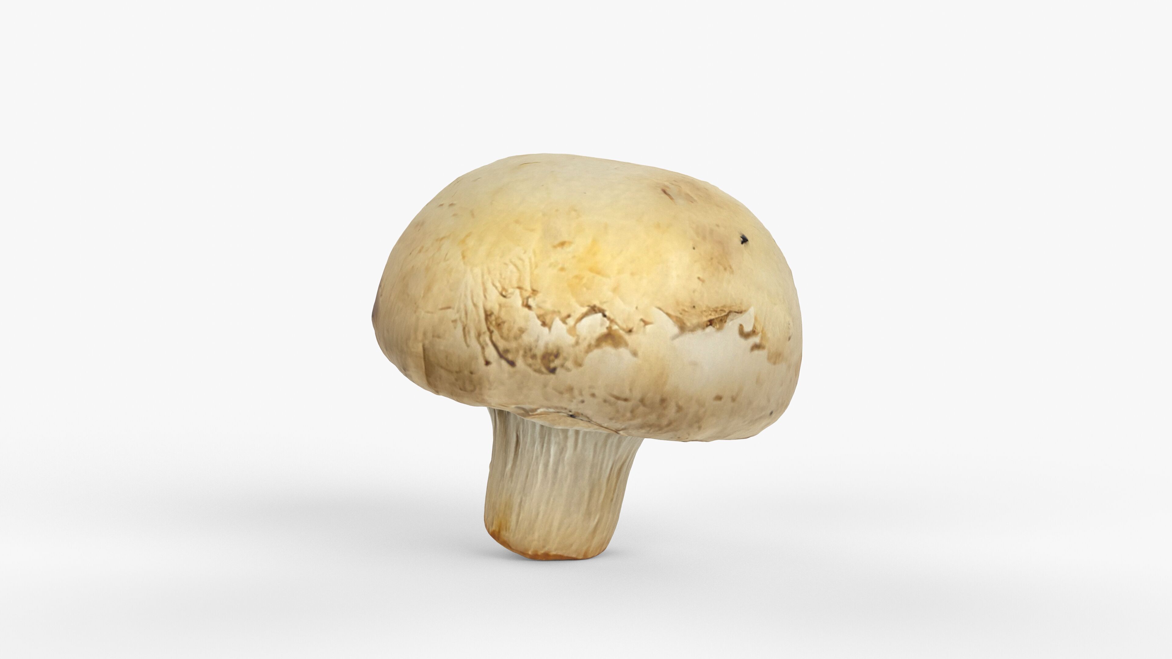 Photorealistic 3D scan of Champignon mushroom Low-poly 3D model_6
