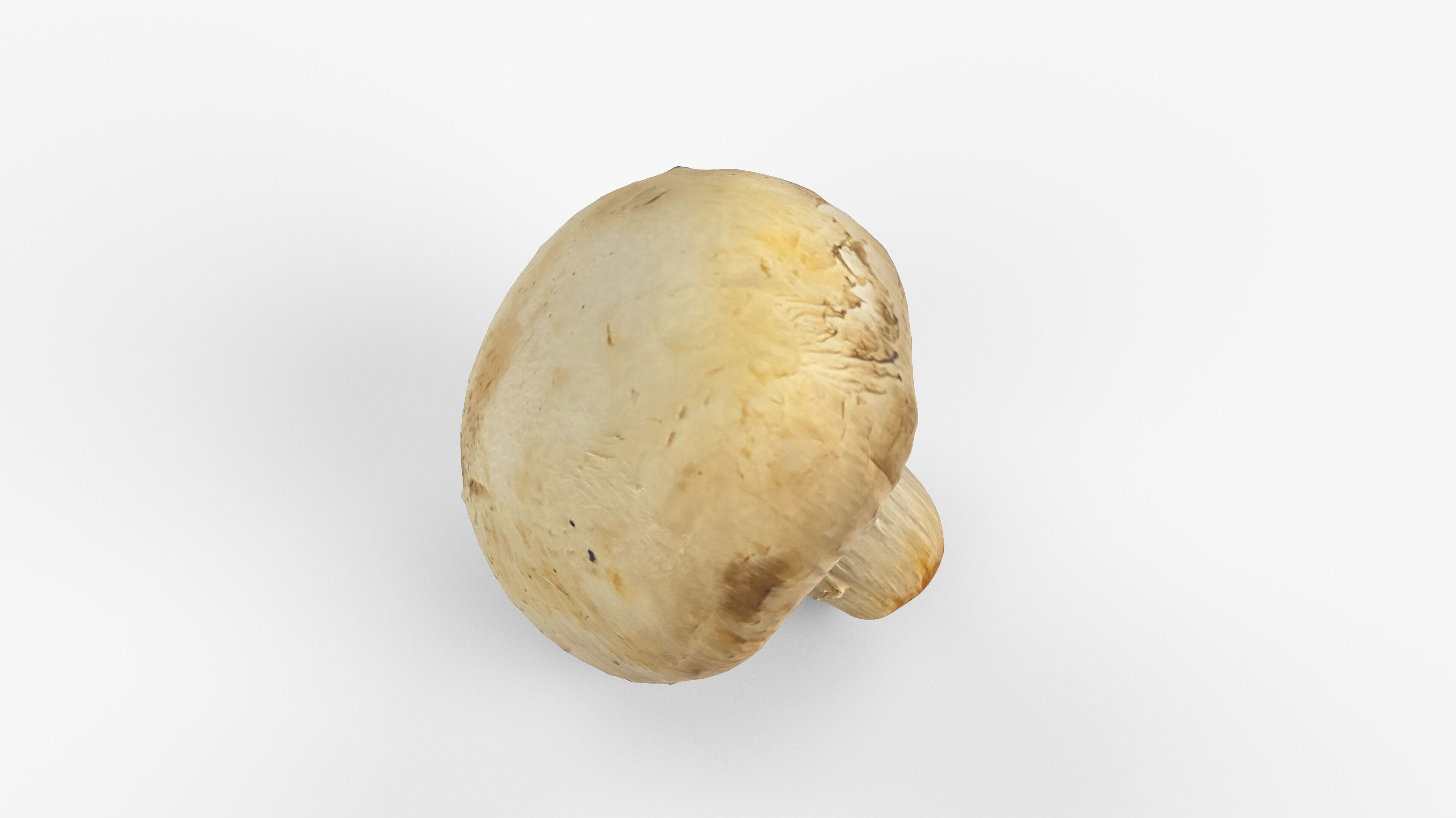 Photorealistic 3D scan of Champignon mushroom Low-poly 3D model_13