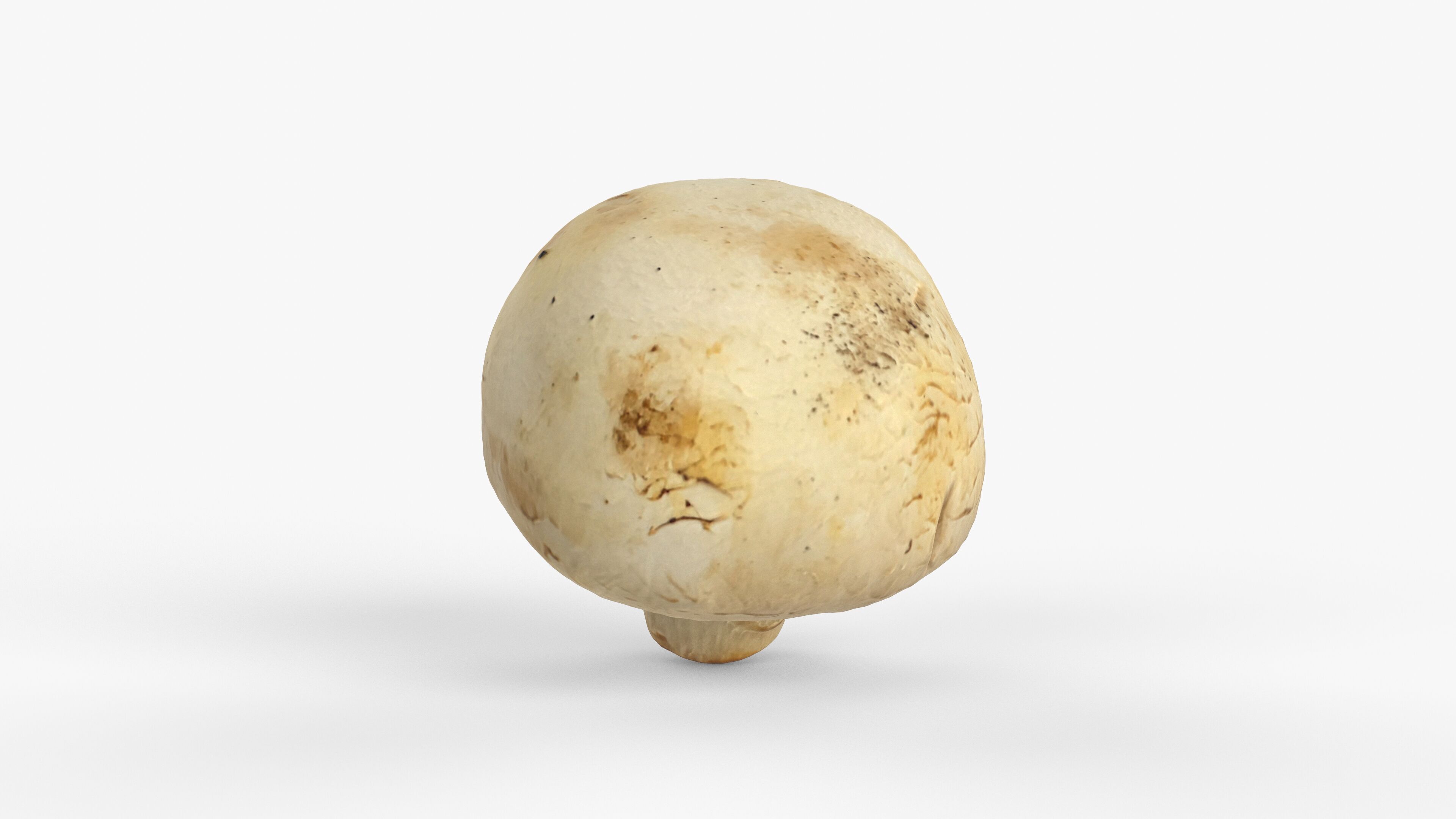 Photorealistic 3D scan of Champignon mushroom Low-poly 3D model_9