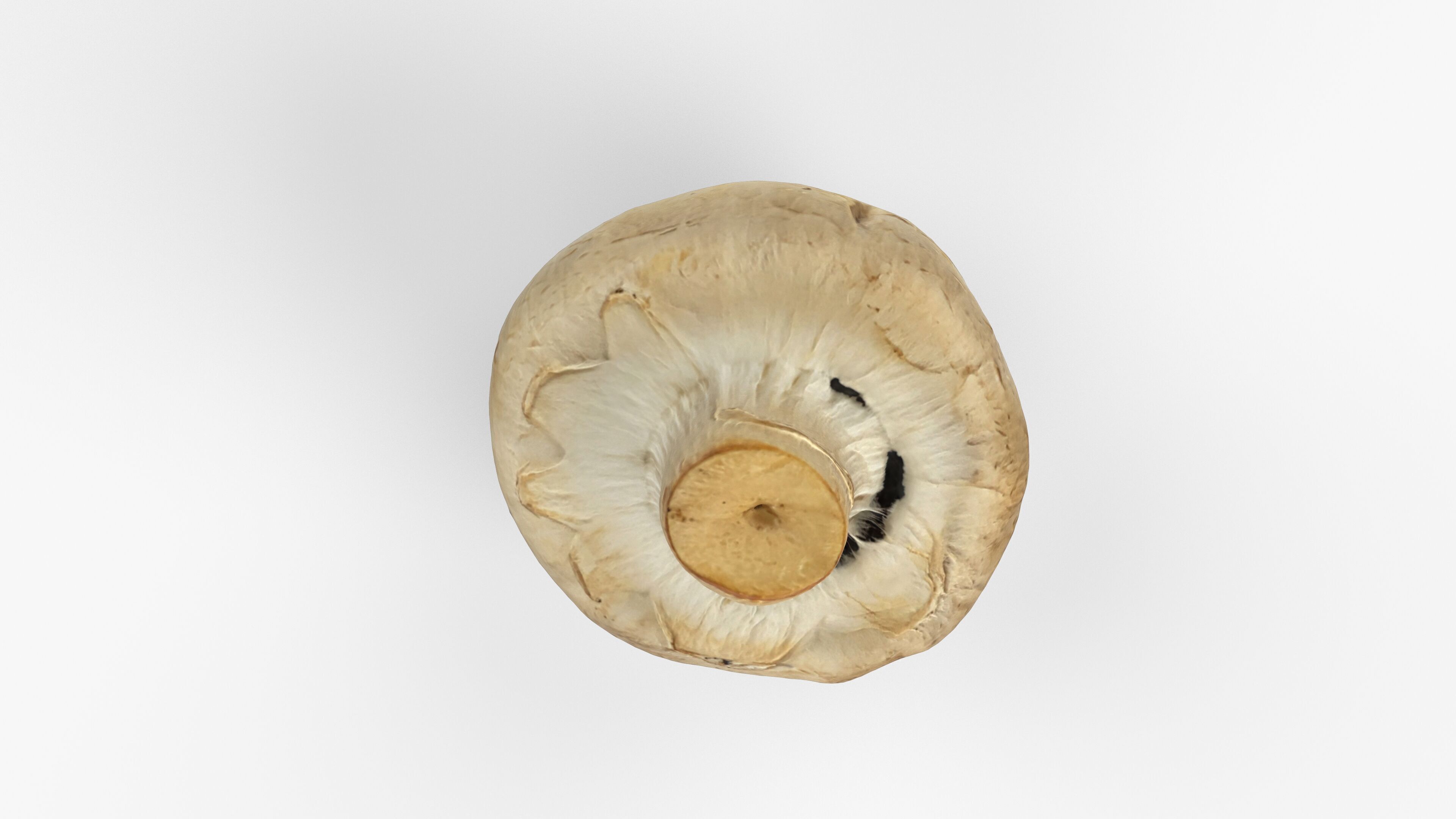 Photorealistic 3D scan of Champignon mushroom Low-poly 3D model_8