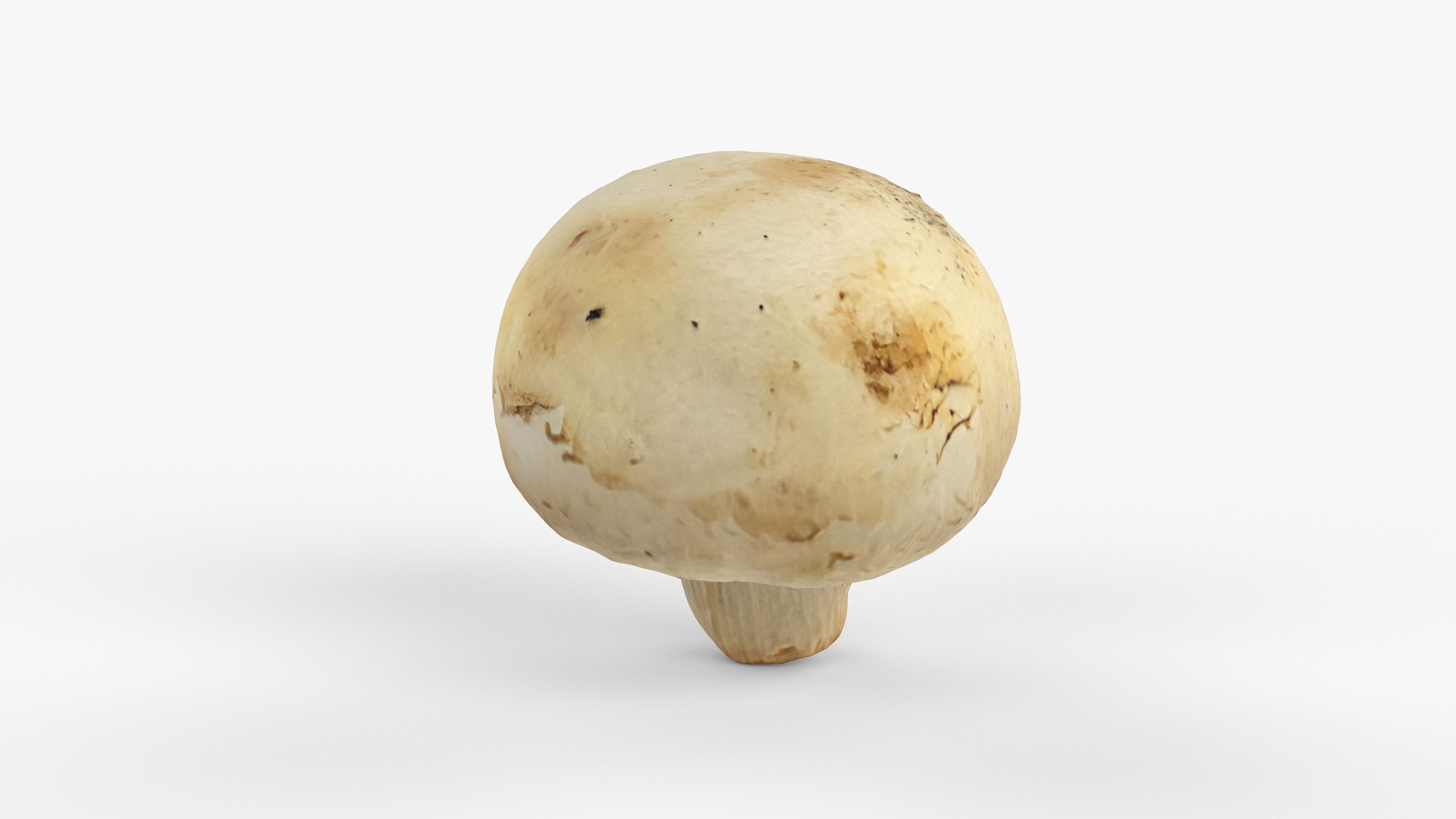 Photorealistic 3D scan of Champignon mushroom Low-poly 3D model_3