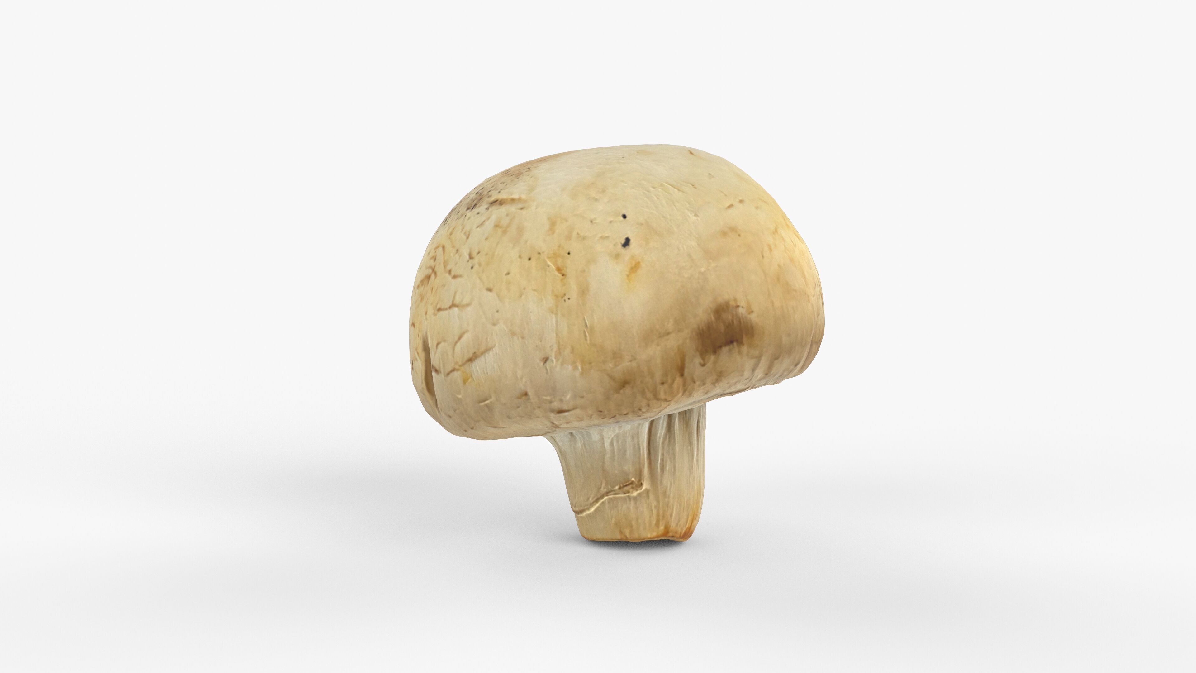 Photorealistic 3D scan of Champignon mushroom Low-poly 3D model_12