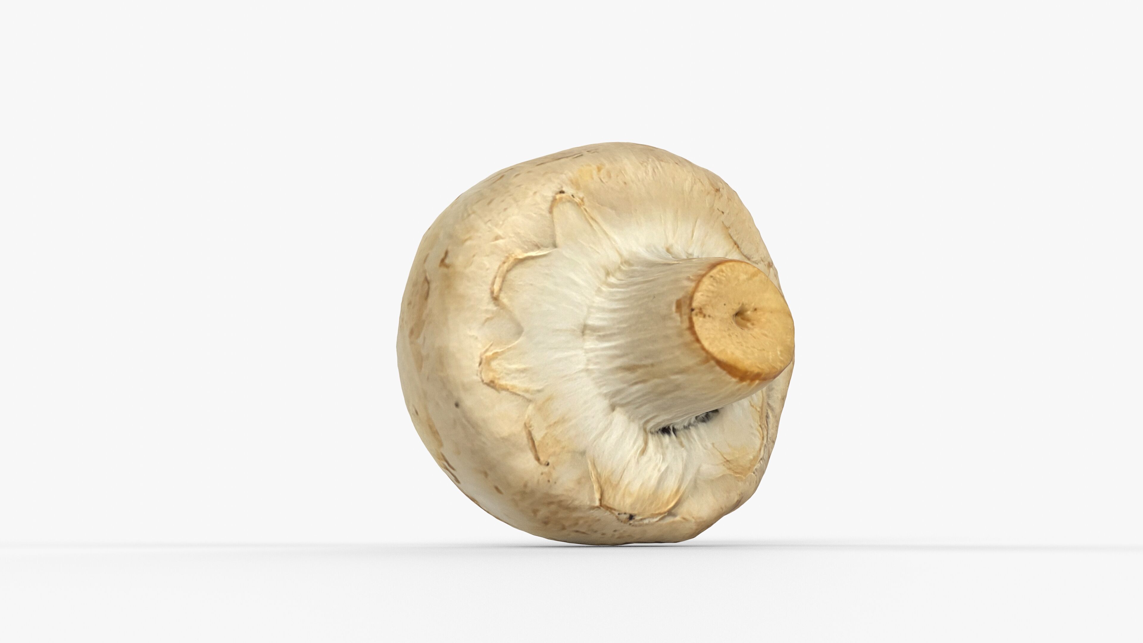Photorealistic 3D scan of Champignon mushroom Low-poly 3D model_14