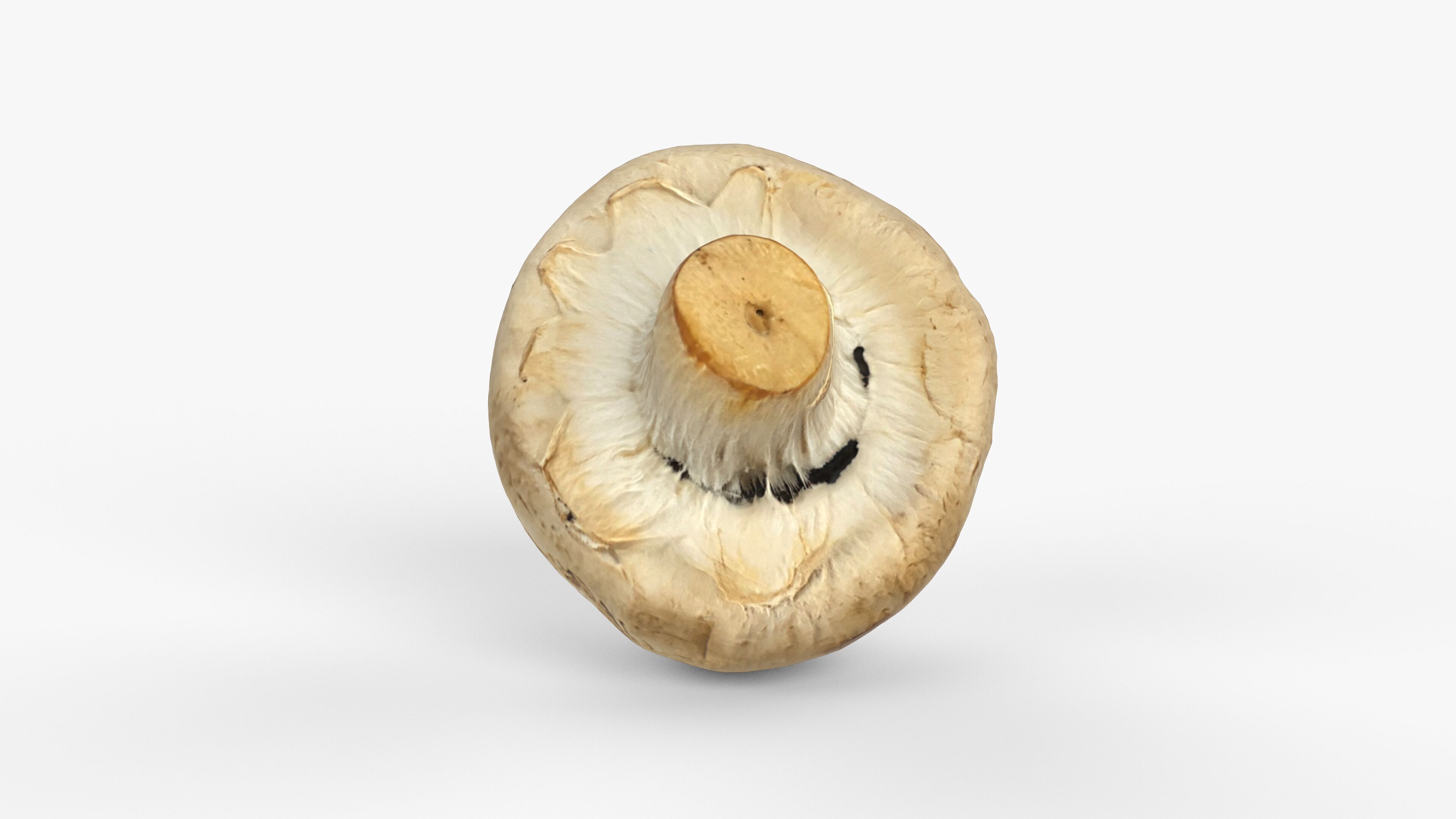 Photorealistic 3D scan of Champignon mushroom Low-poly 3D model_5