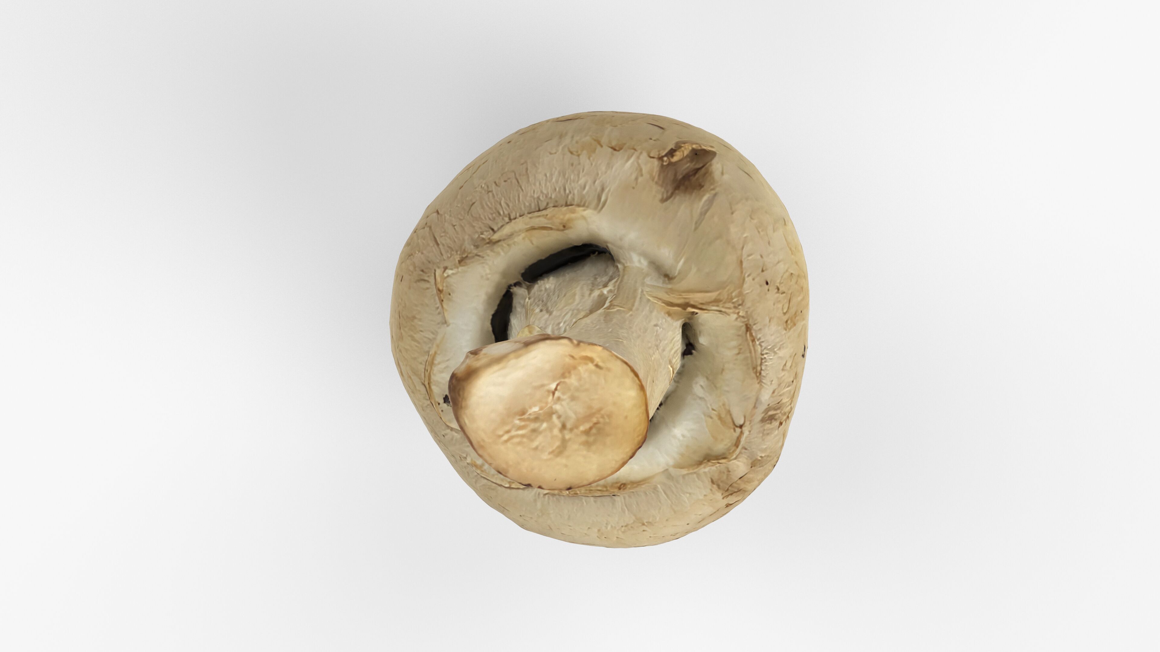 Photorealistic 3D scan of Champignon mushroom Low-poly 3D model_8