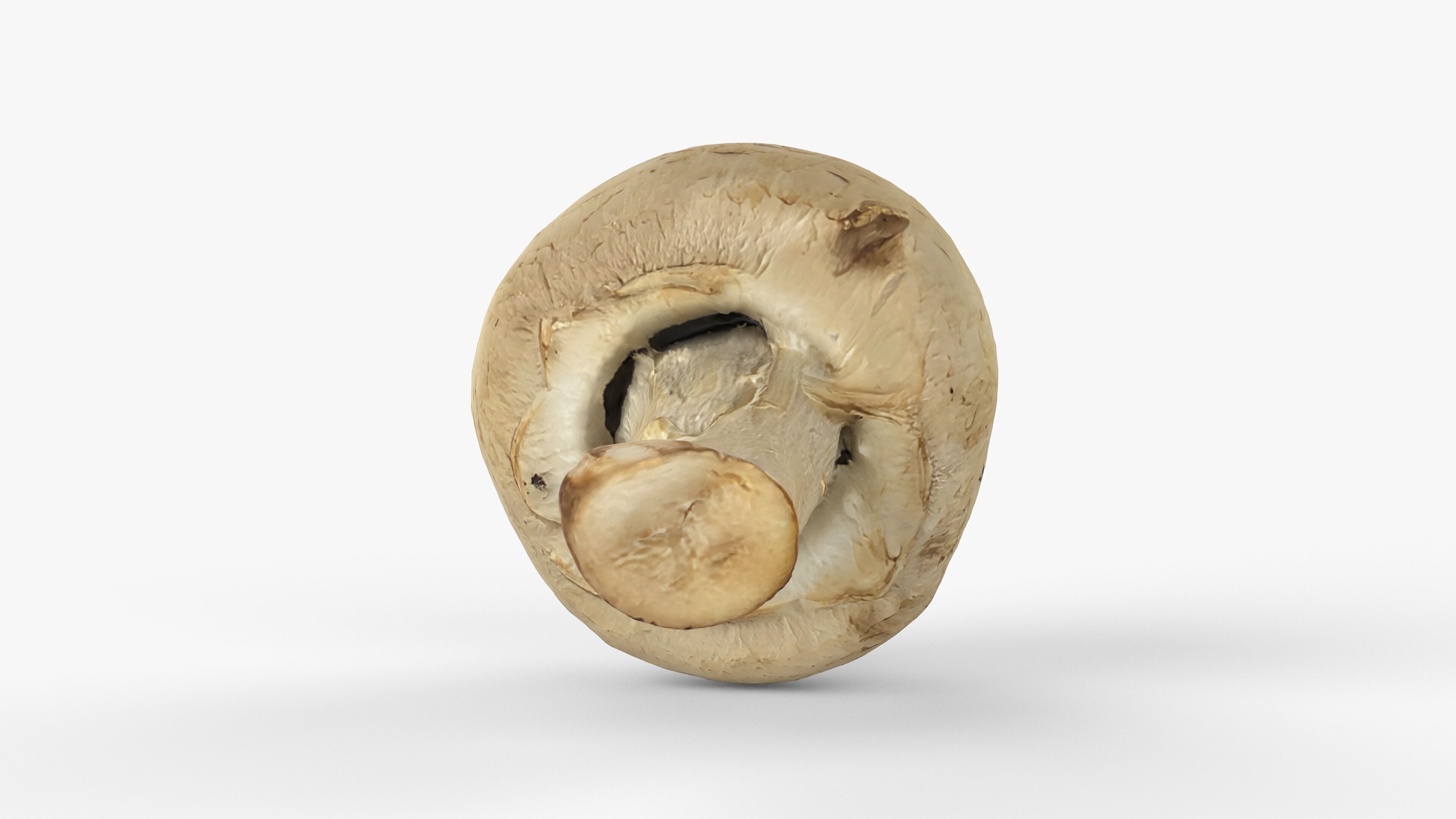 Photorealistic 3D scan of Champignon mushroom Low-poly 3D model_11