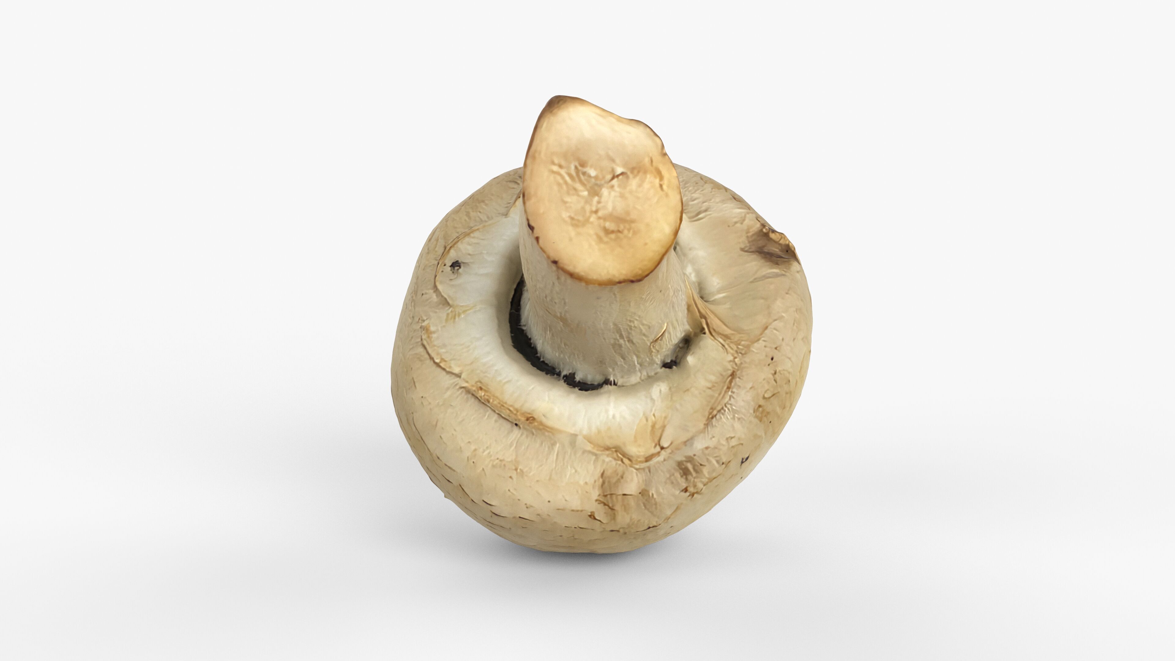 Photorealistic 3D scan of Champignon mushroom Low-poly 3D model_5