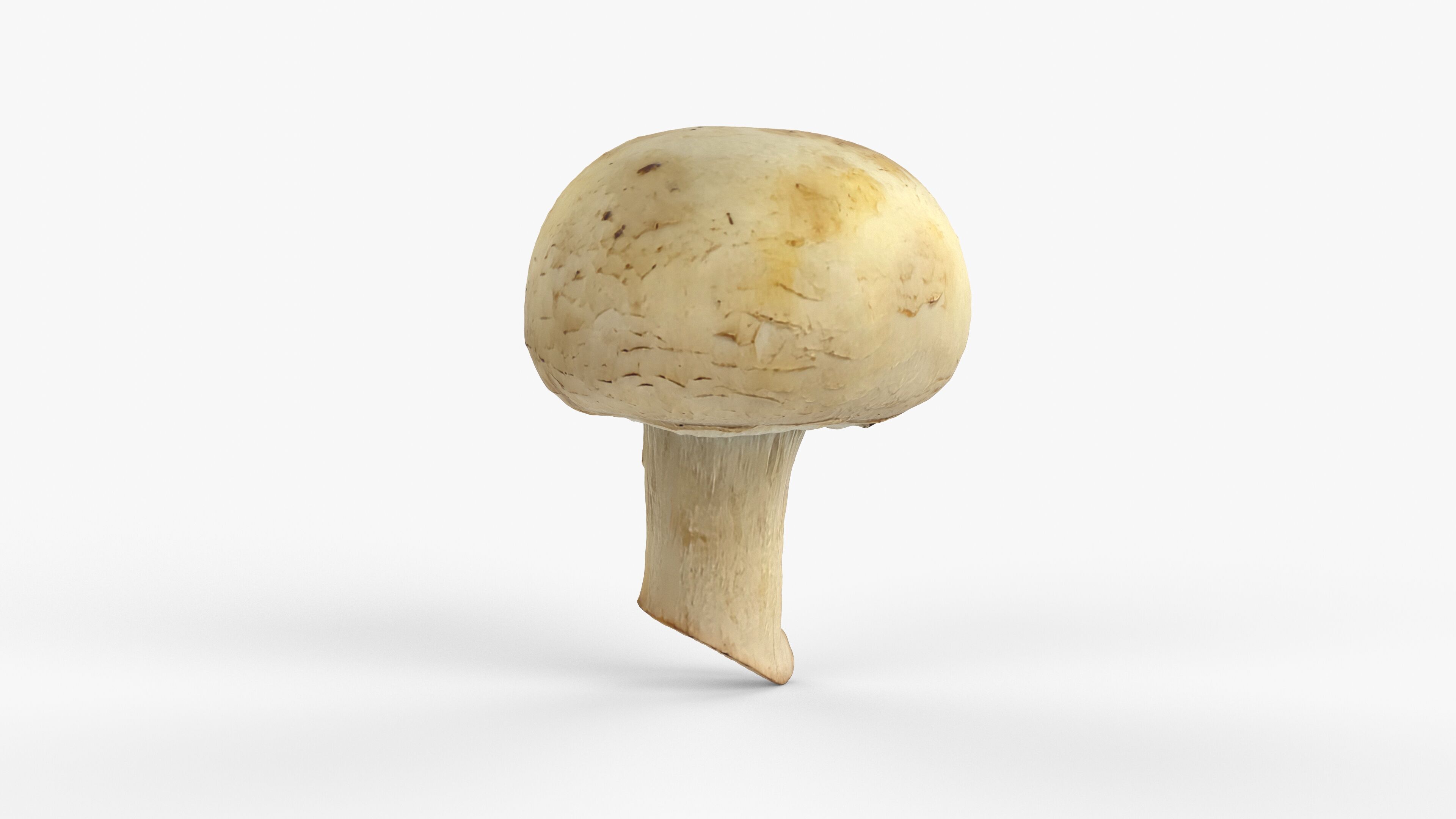 Photorealistic 3D scan of Champignon mushroom Low-poly 3D model_6