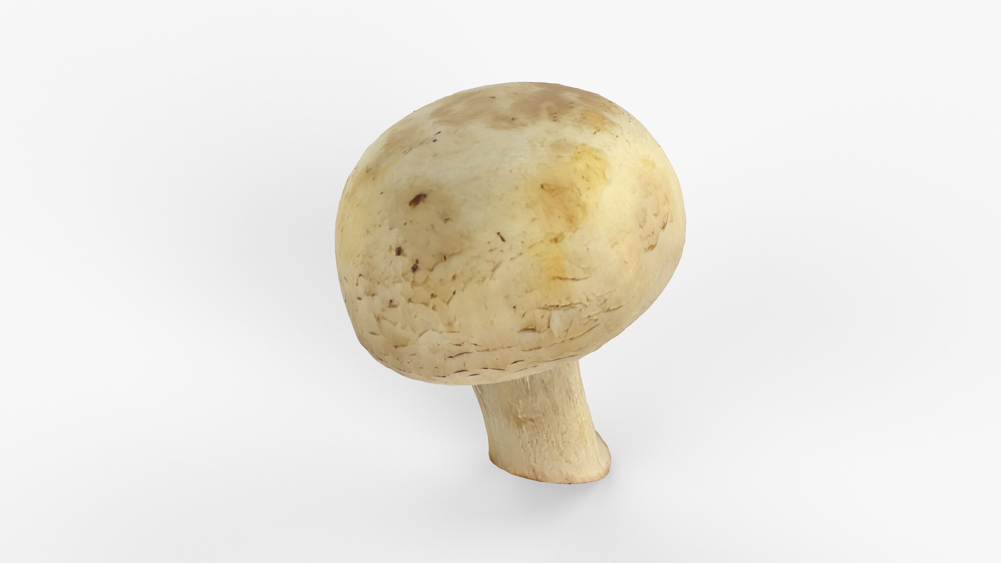 Photorealistic 3D scan of Champignon mushroom Low-poly 3D model_15