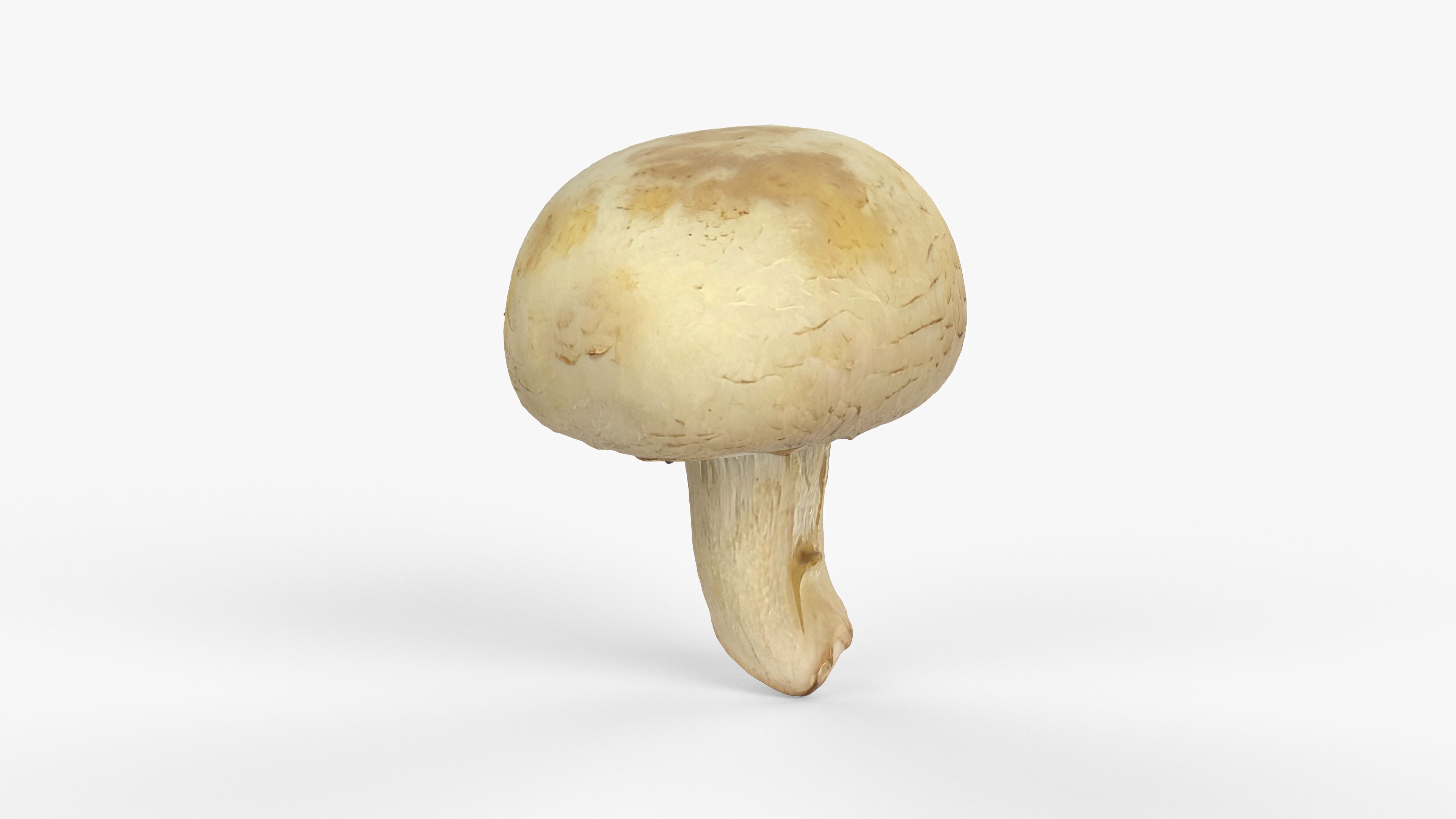 Photorealistic 3D scan of Champignon mushroom Low-poly 3D model_3