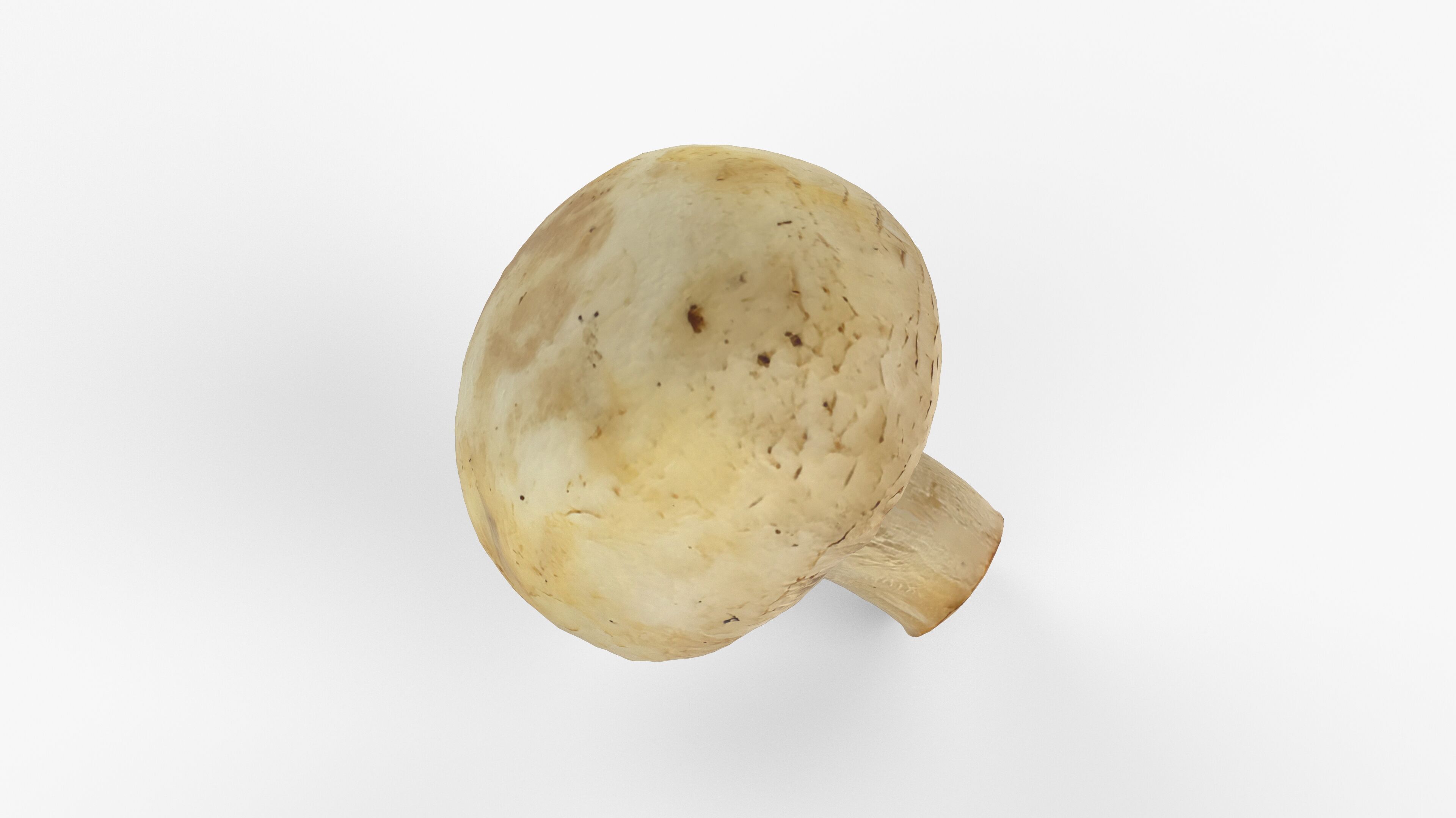 Photorealistic 3D scan of Champignon mushroom Low-poly 3D model_13