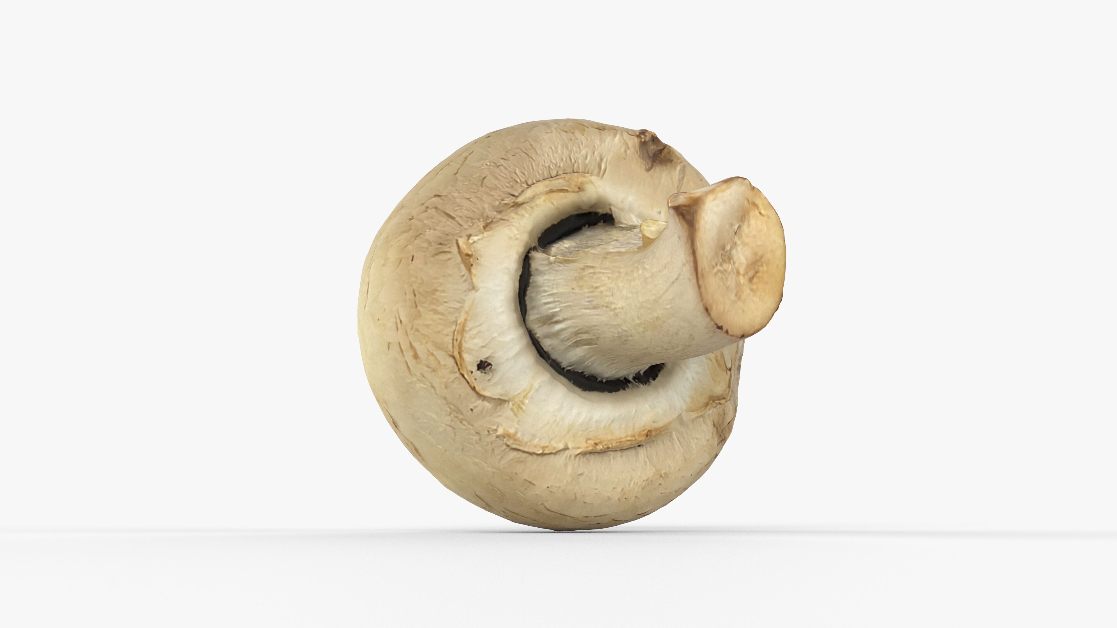 Photorealistic 3D scan of Champignon mushroom Low-poly 3D model_14