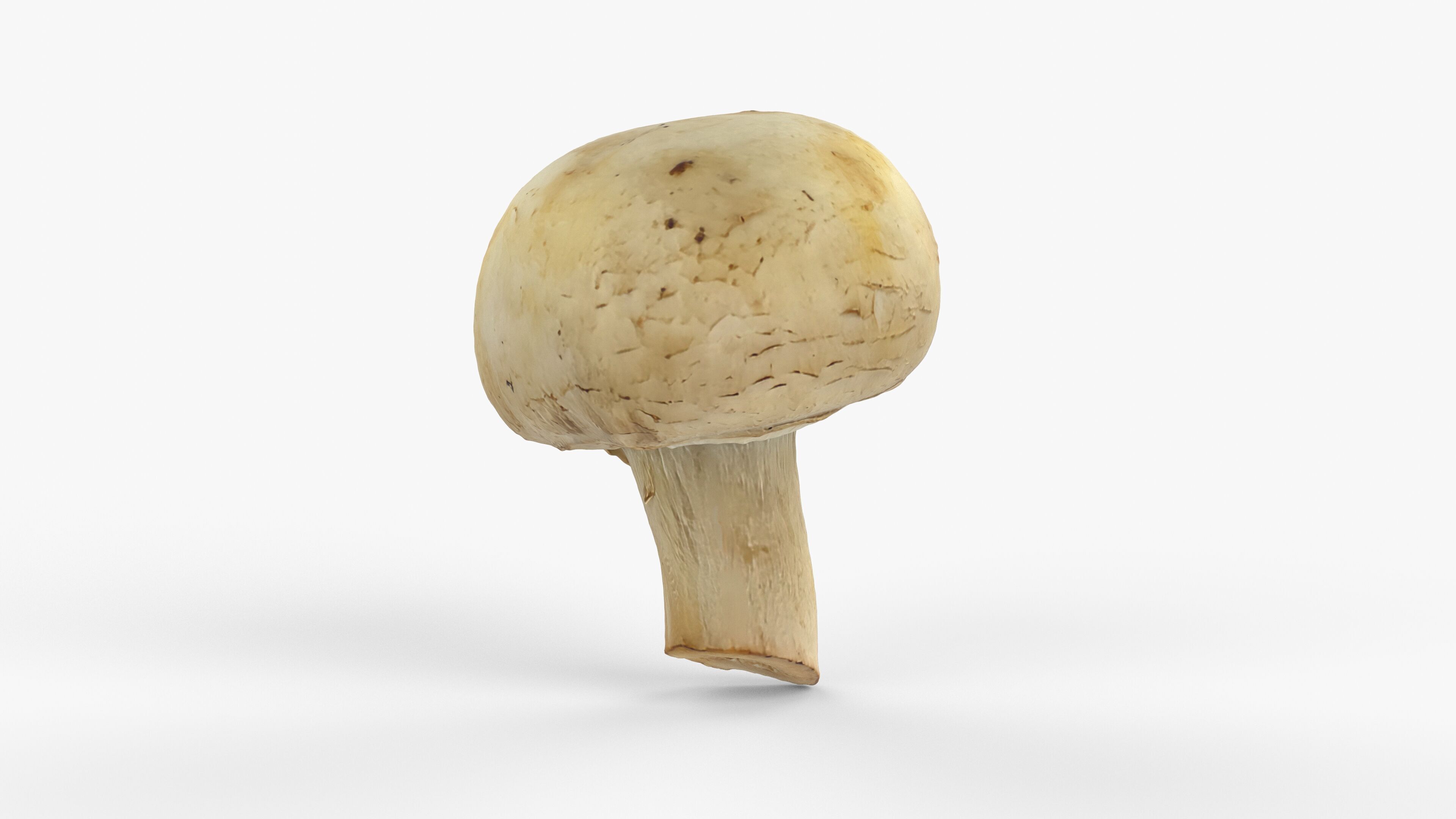 Photorealistic 3D scan of Champignon mushroom Low-poly 3D model_7