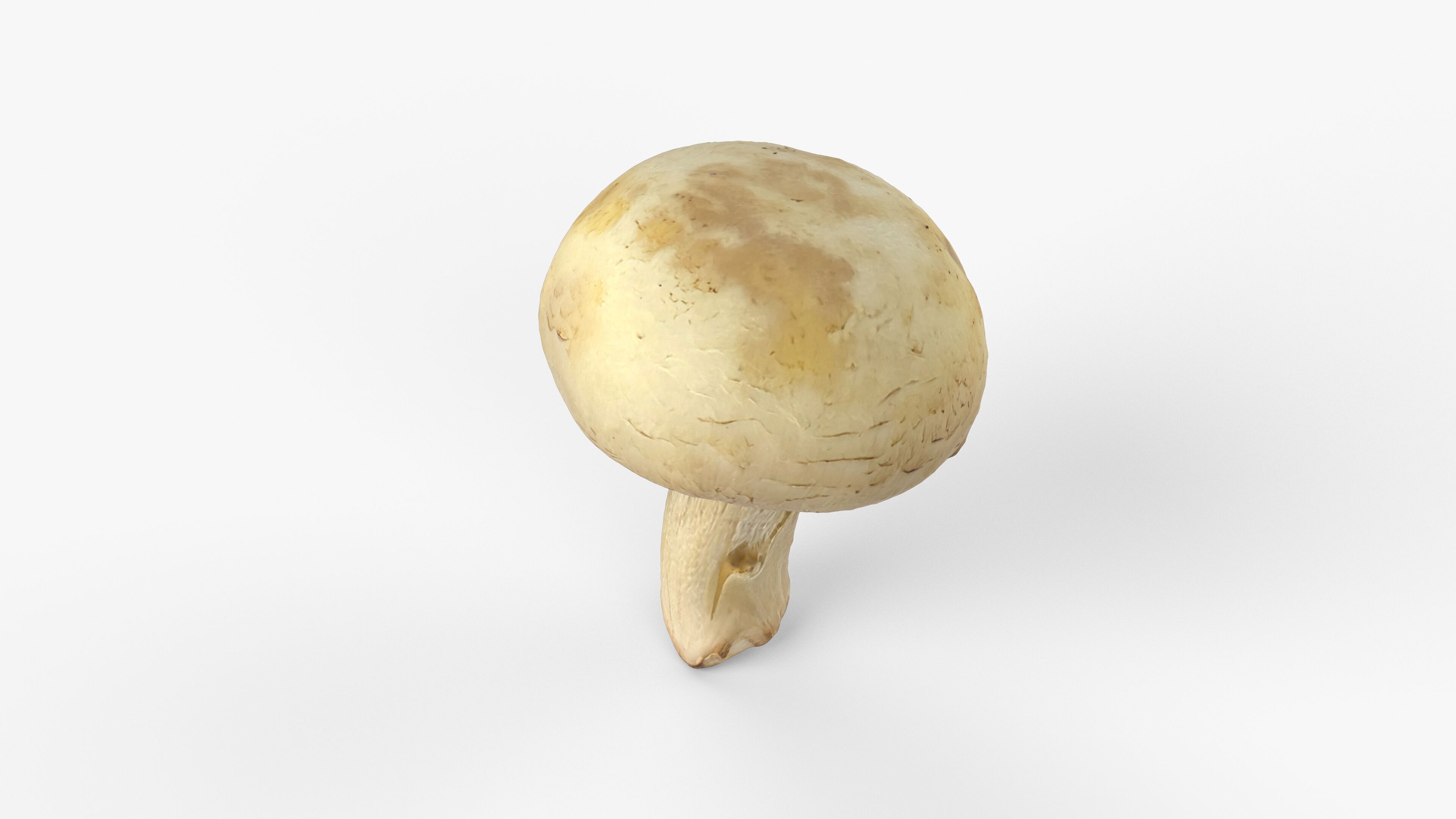 Photorealistic 3D scan of Champignon mushroom Low-poly 3D model_2