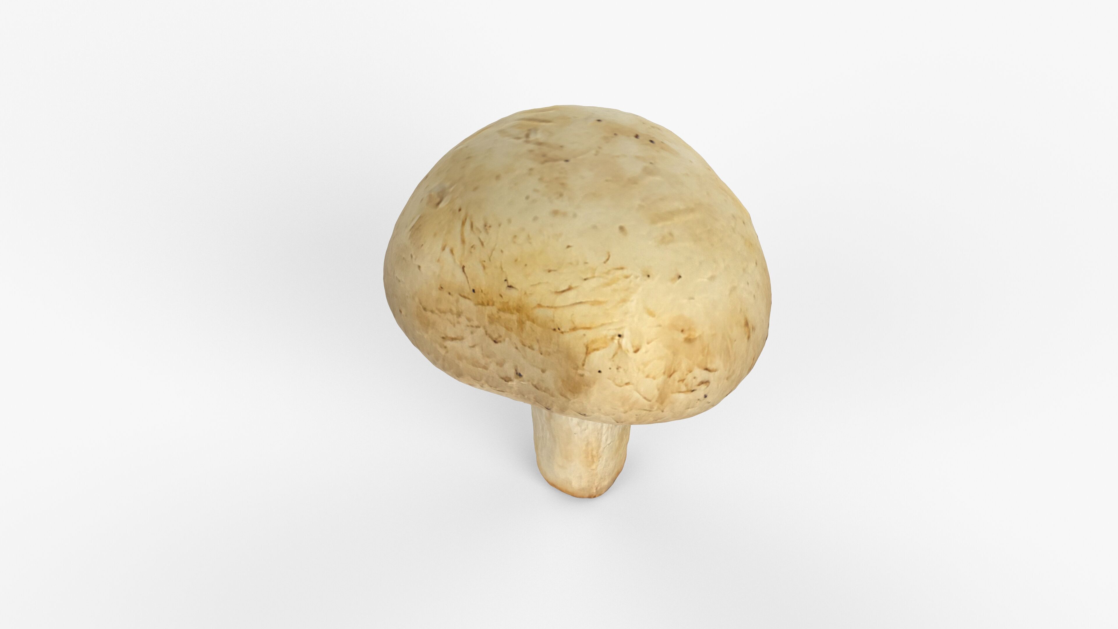 Photorealistic 3D scan of Champignon mushroom Low-poly 3D model_10