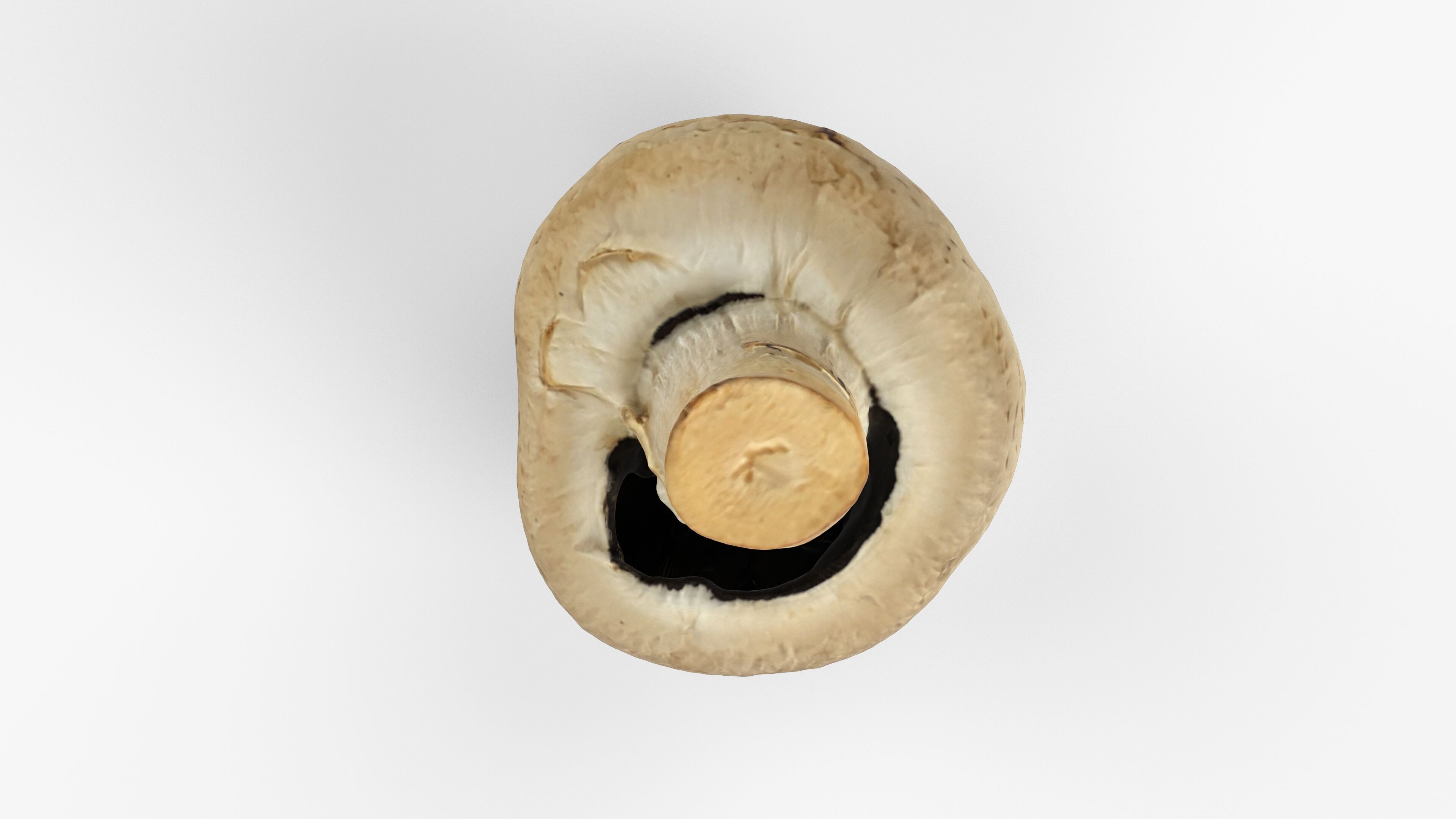 Photorealistic 3D scan of Champignon mushroom Low-poly 3D model_8