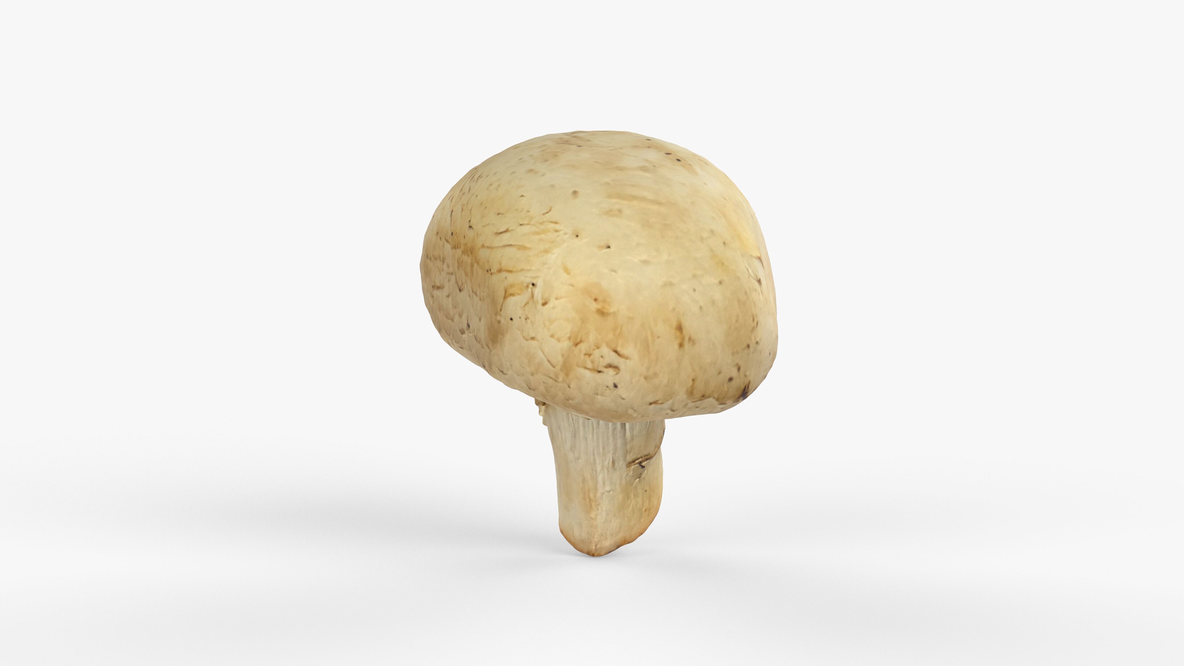 Photorealistic 3D scan of Champignon mushroom Low-poly 3D model_9