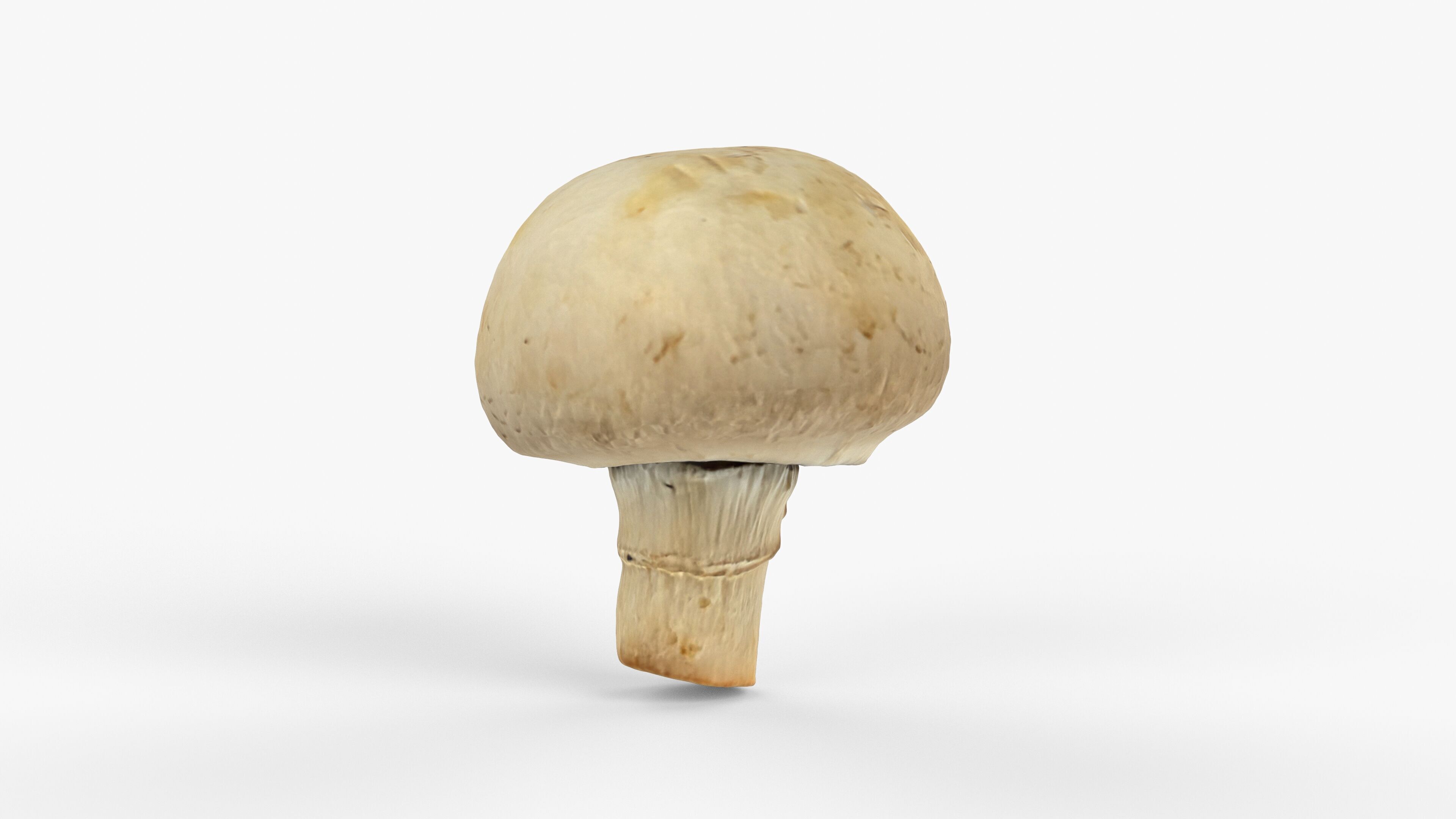 Photorealistic 3D scan of Champignon mushroom Low-poly 3D model_7
