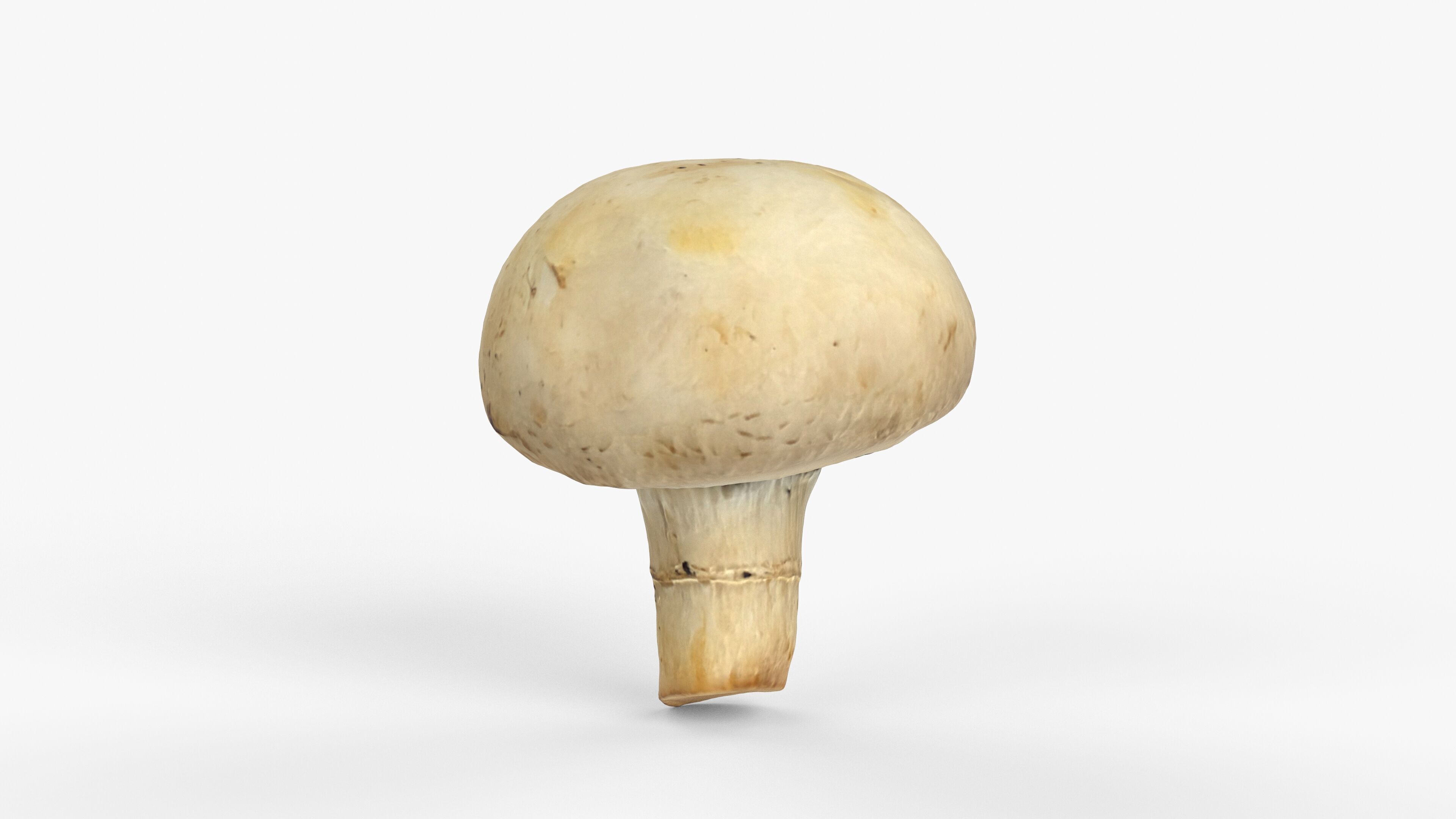 Photorealistic 3D scan of Champignon mushroom Low-poly 3D model_12