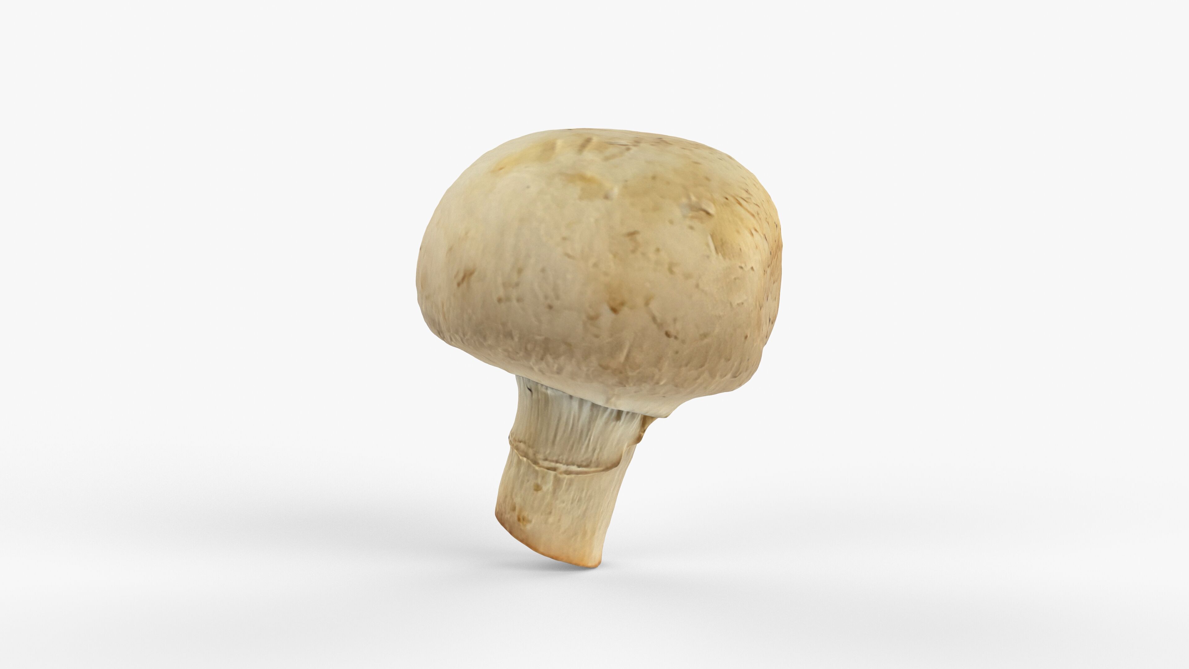 Photorealistic 3D scan of Champignon mushroom Low-poly 3D model_6