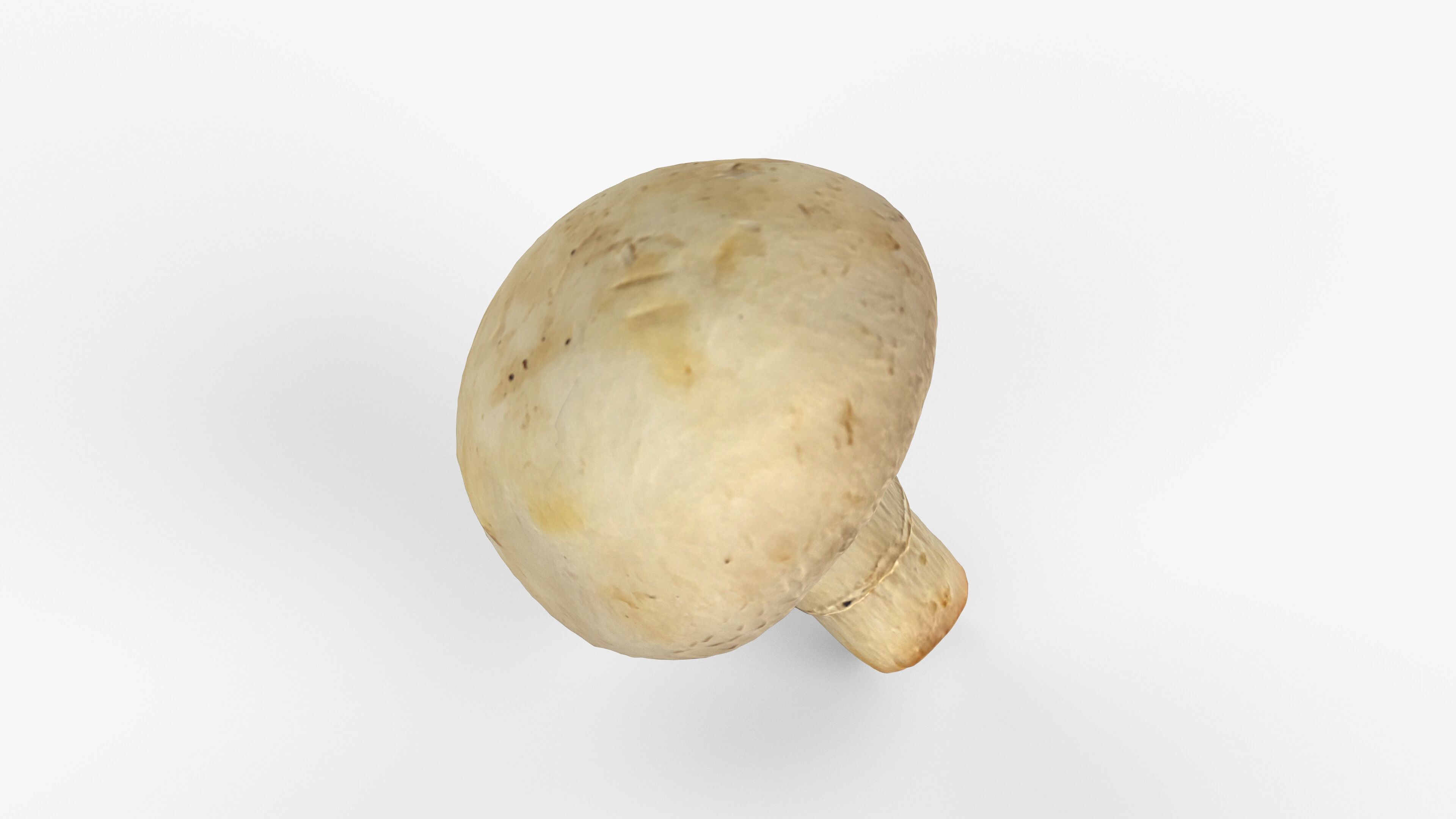 Photorealistic 3D scan of Champignon mushroom Low-poly 3D model_13