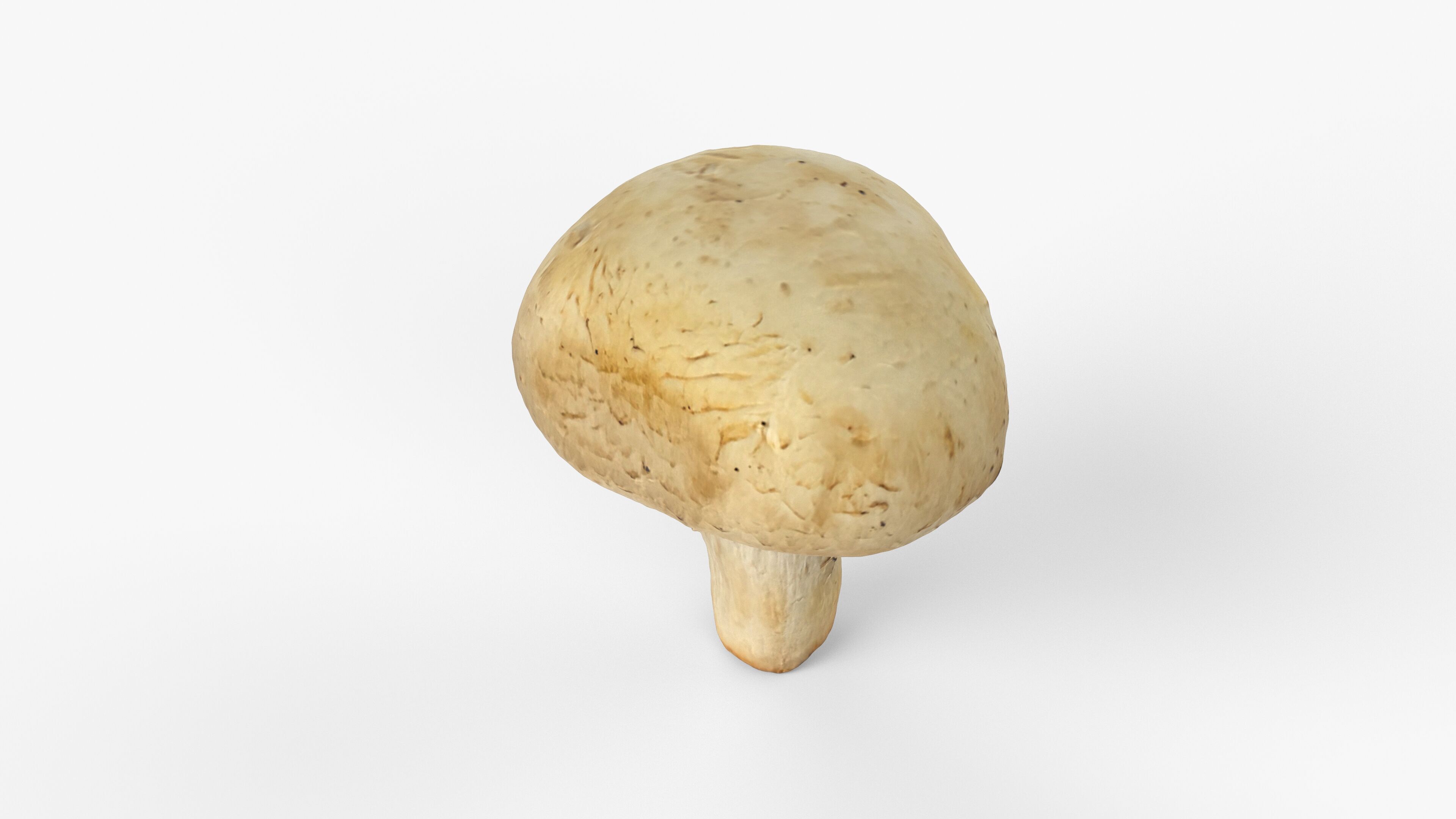 Photorealistic 3D scan of Champignon mushroom Low-poly 3D model_2