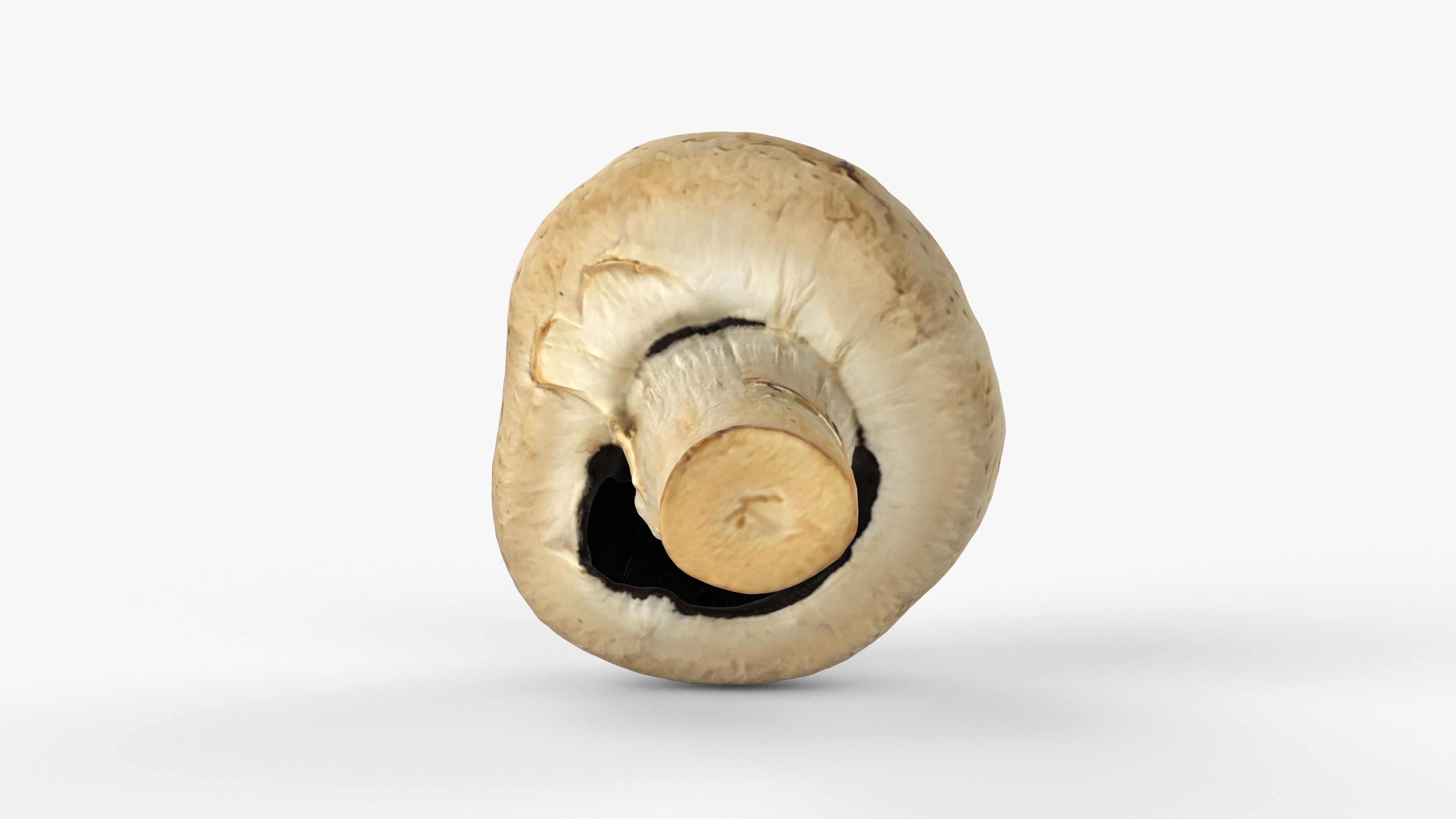 Photorealistic 3D scan of Champignon mushroom Low-poly 3D model_14