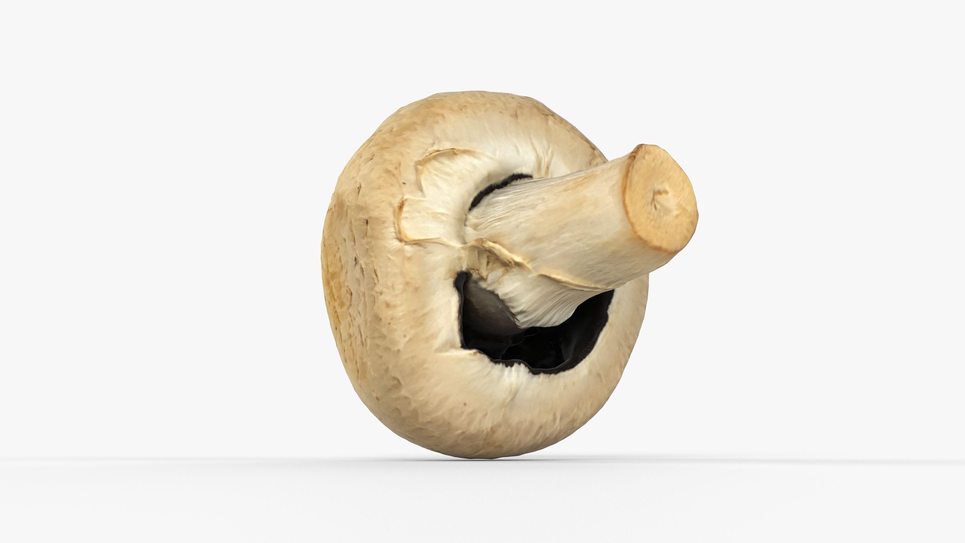 Photorealistic 3D scan of Champignon mushroom Low-poly 3D model_11