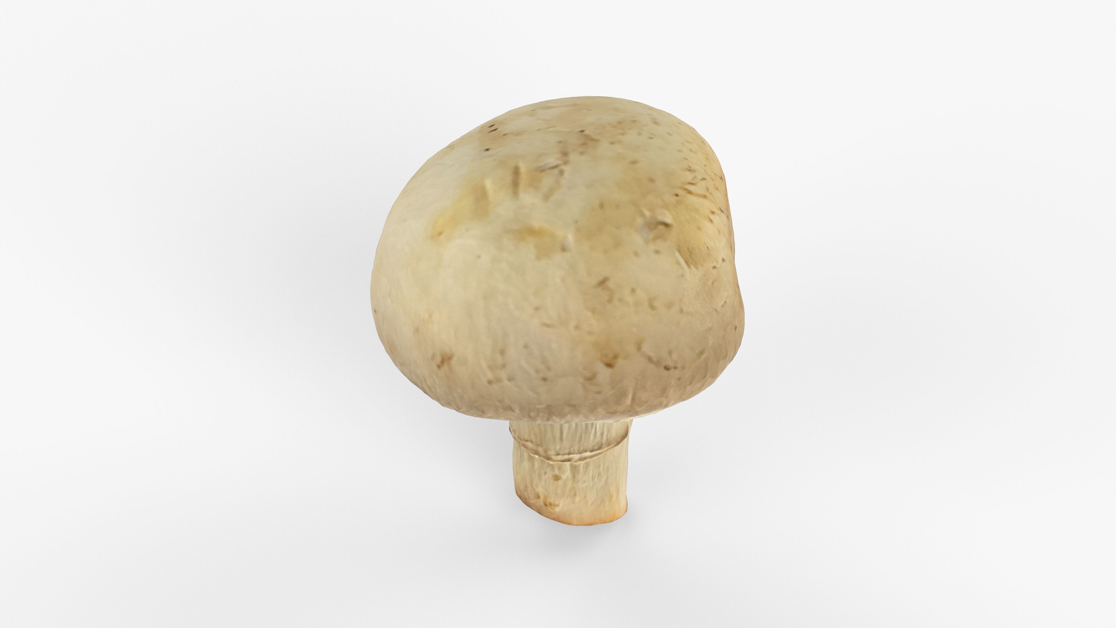 Photorealistic 3D scan of Champignon mushroom Low-poly 3D model_15