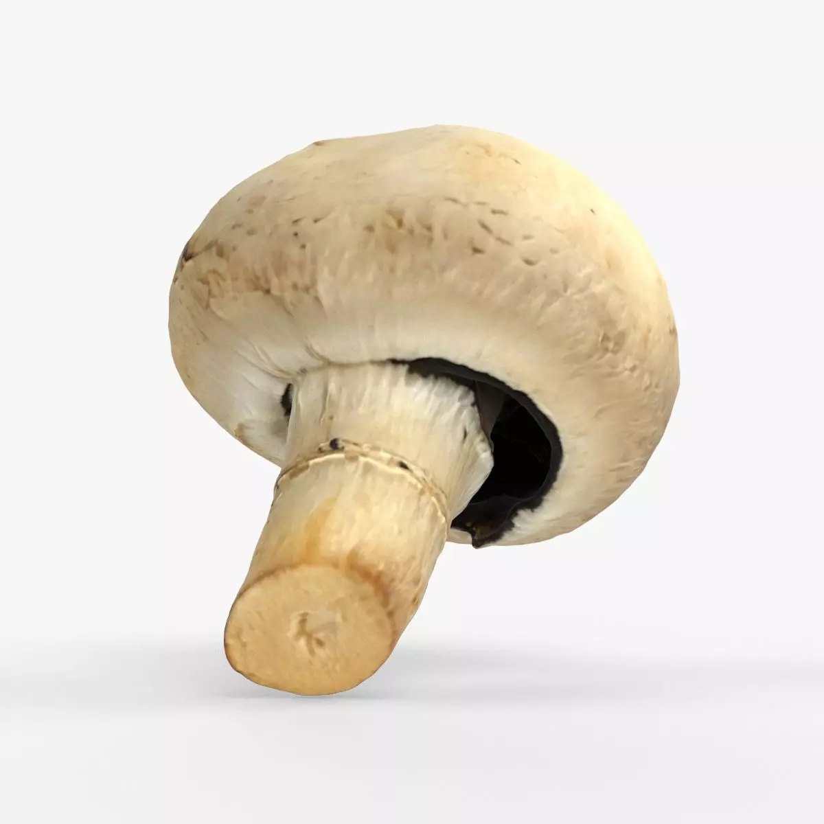 Photorealistic 3D scan of Champignon mushroom Low-poly 3D model_0