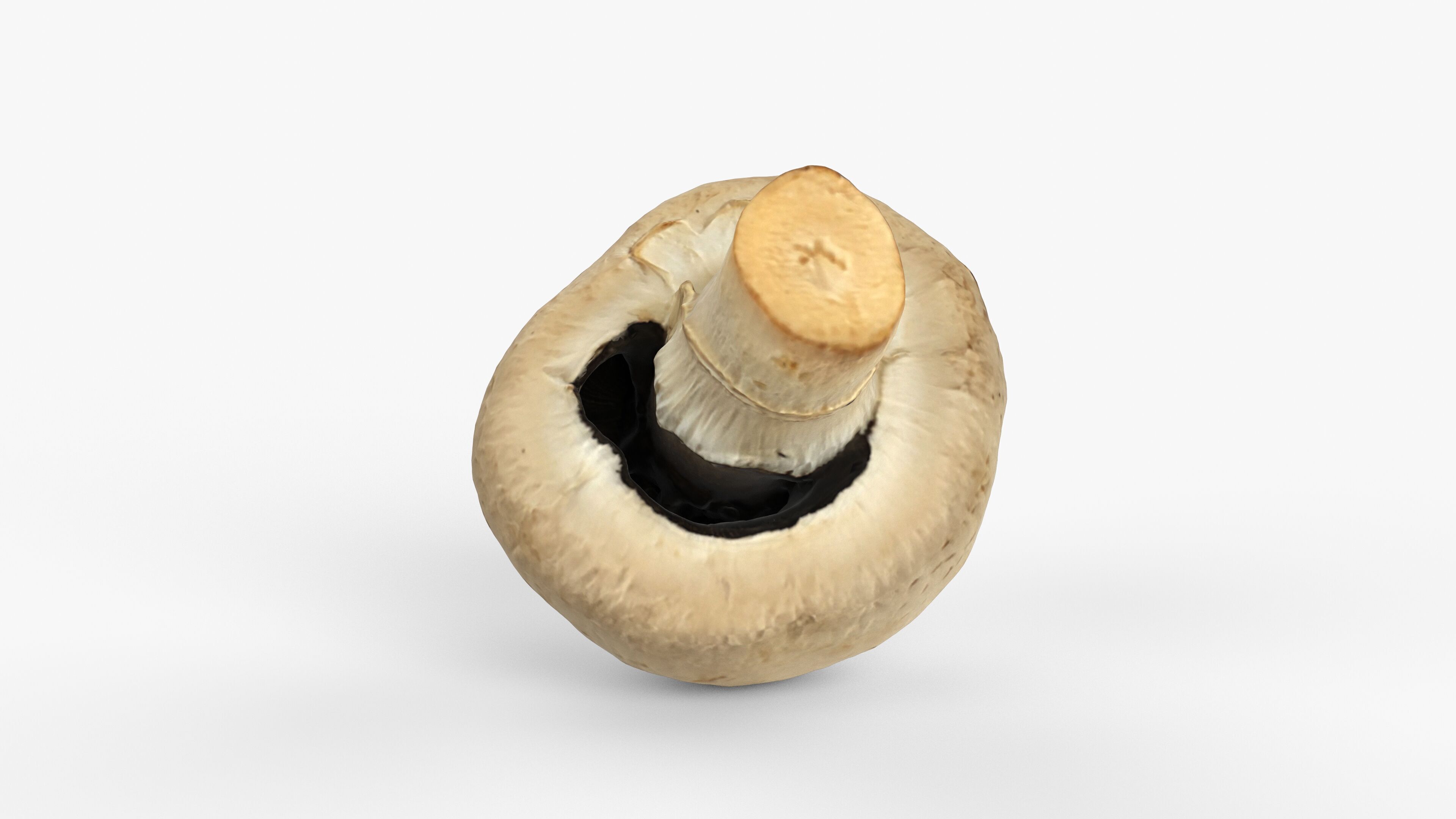 Photorealistic 3D scan of Champignon mushroom Low-poly 3D model_5