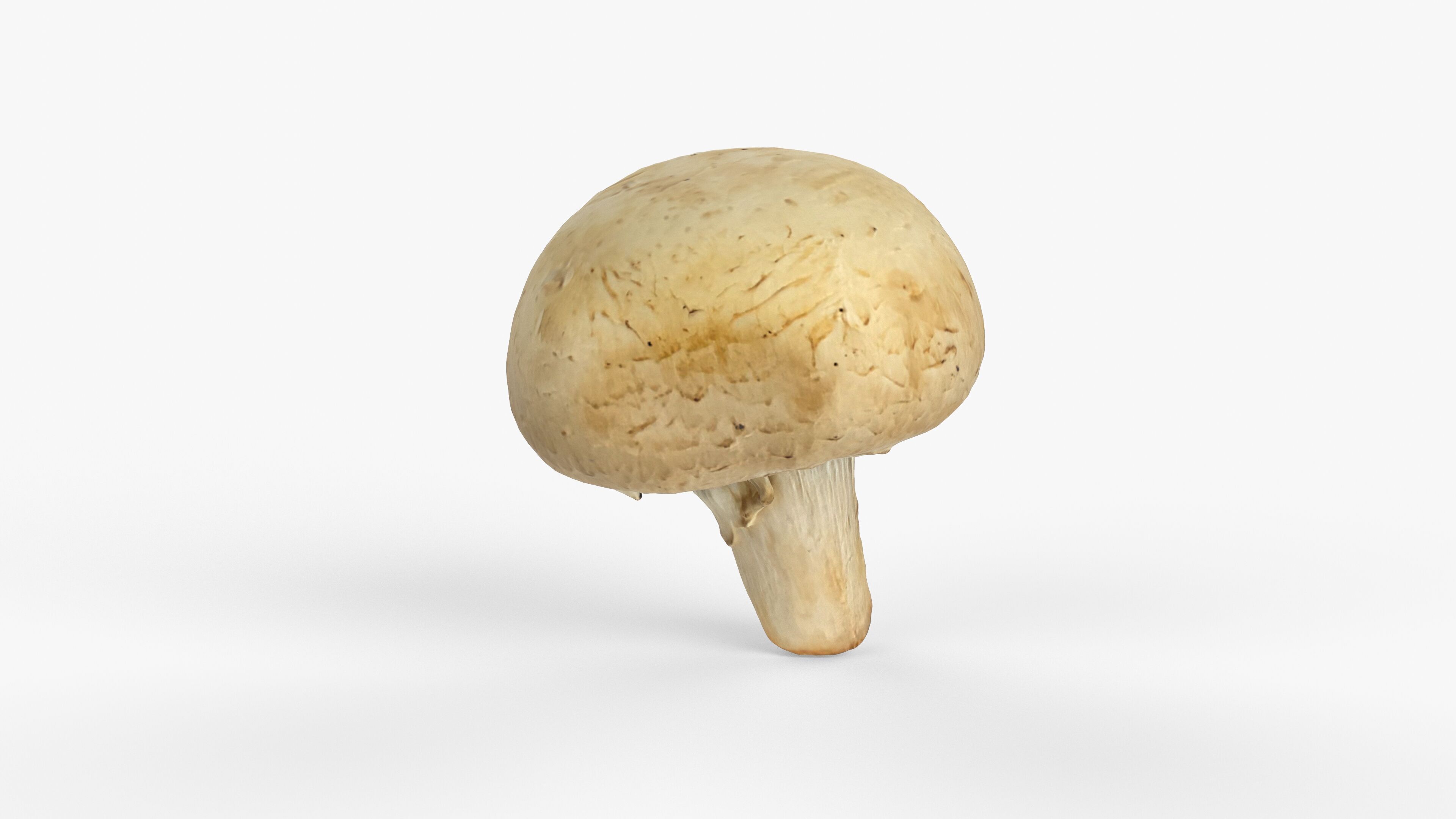 Photorealistic 3D scan of Champignon mushroom Low-poly 3D model_3