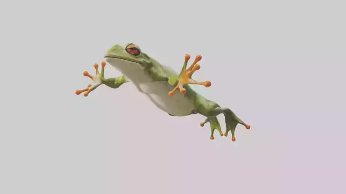 Frog leaping model Low-poly 3D model