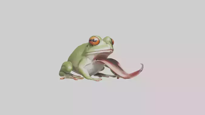 Frog Tongue Model