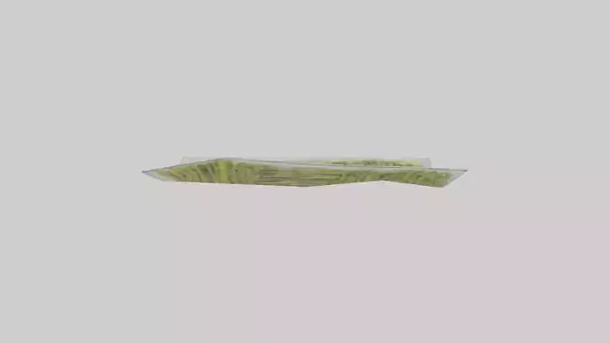 Frozen Asparagus Pack model