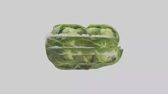 Frozen Brussels Sprouts Pack model
