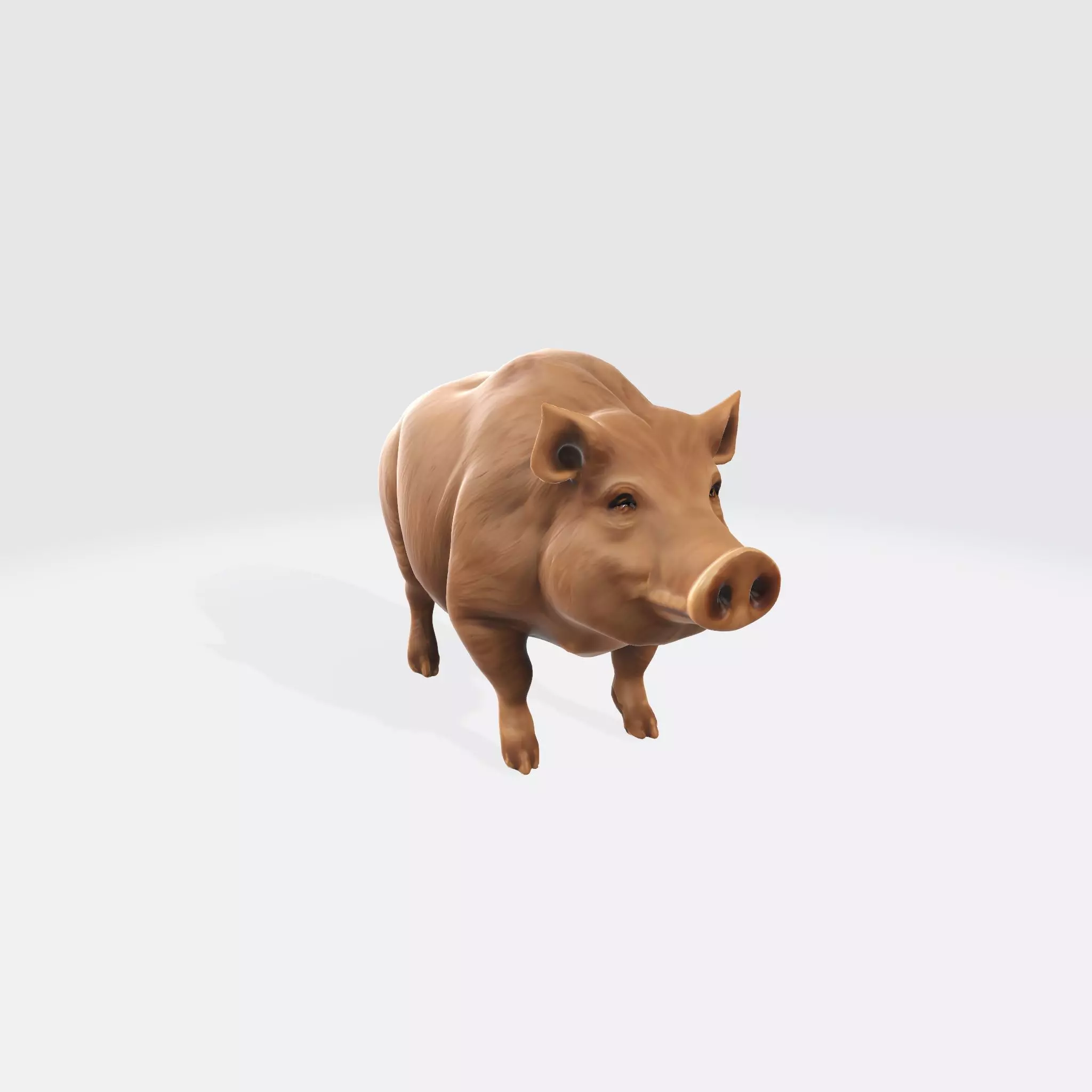 Cute Lifelike boar 3D model