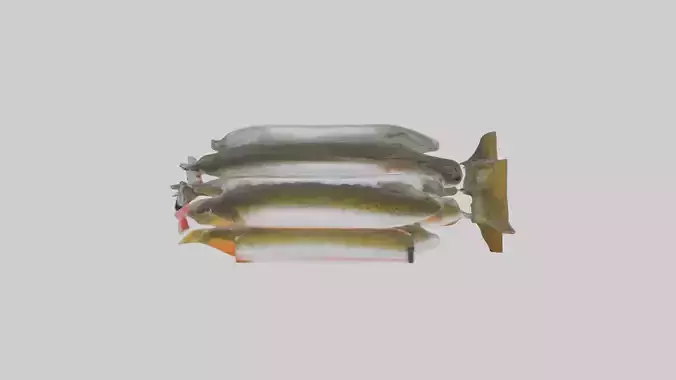 Frozen Trout Pack model Low-poly 3D model