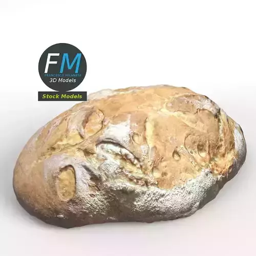 Homemade rustic bread