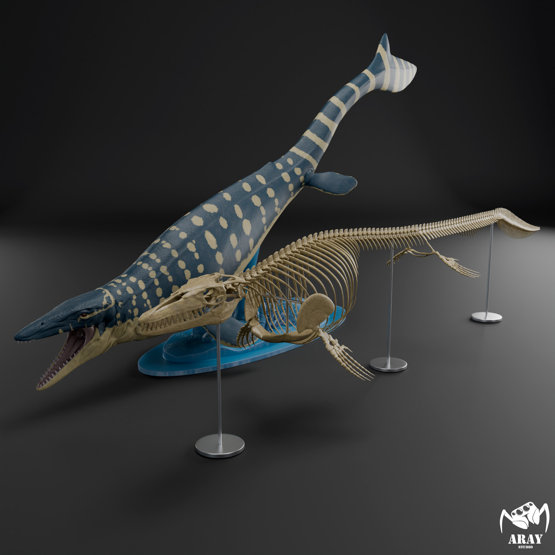 Mosasaurus hoffmanni skeleton 3D print model_19